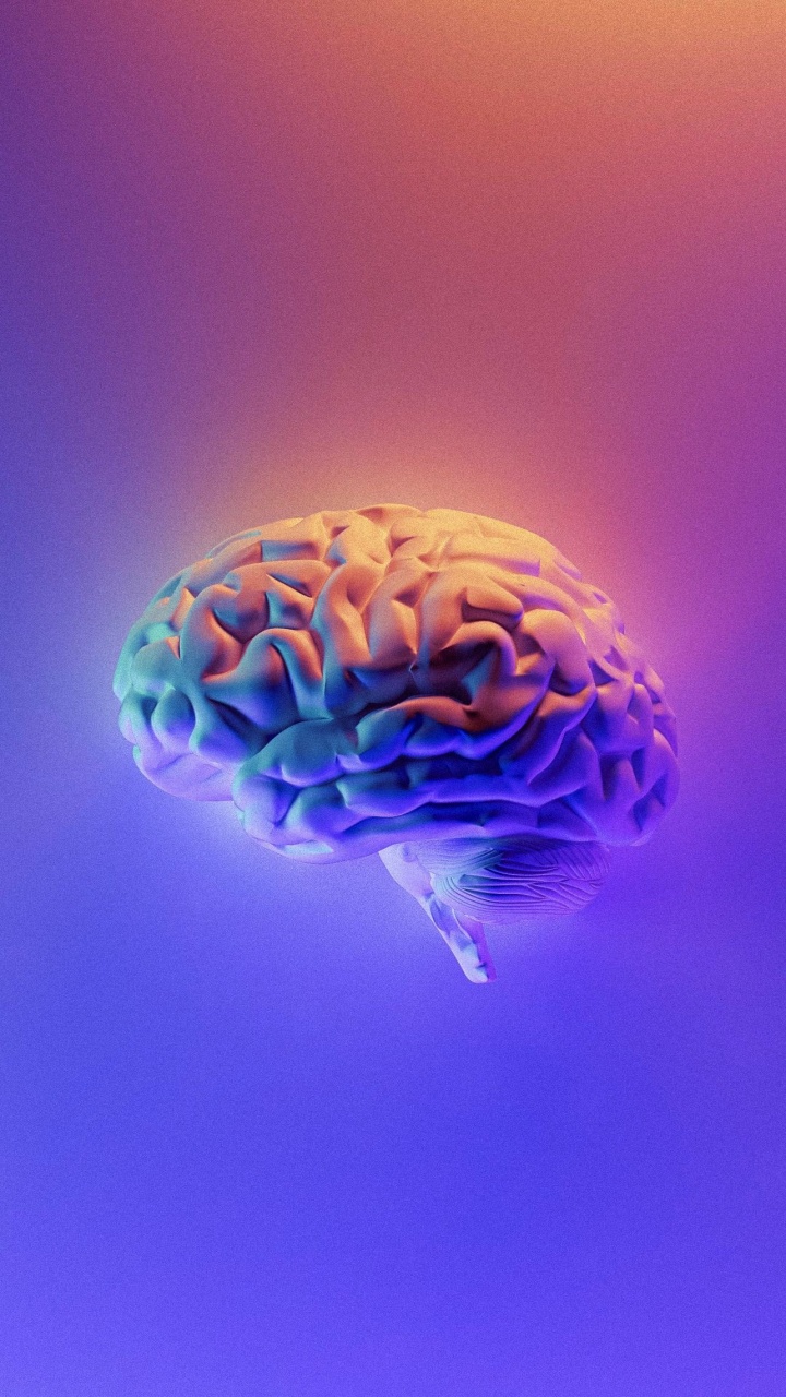 Books Mind, Mind, Book, The Future of The Mind, Shoe. Wallpaper in 720x1280 Resolution