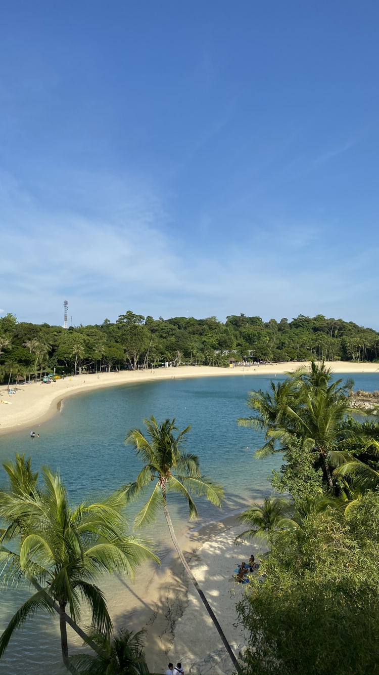 人体内的水, 岸边, 海岸, 海洋, 热带地区 壁纸 750x1334 允许