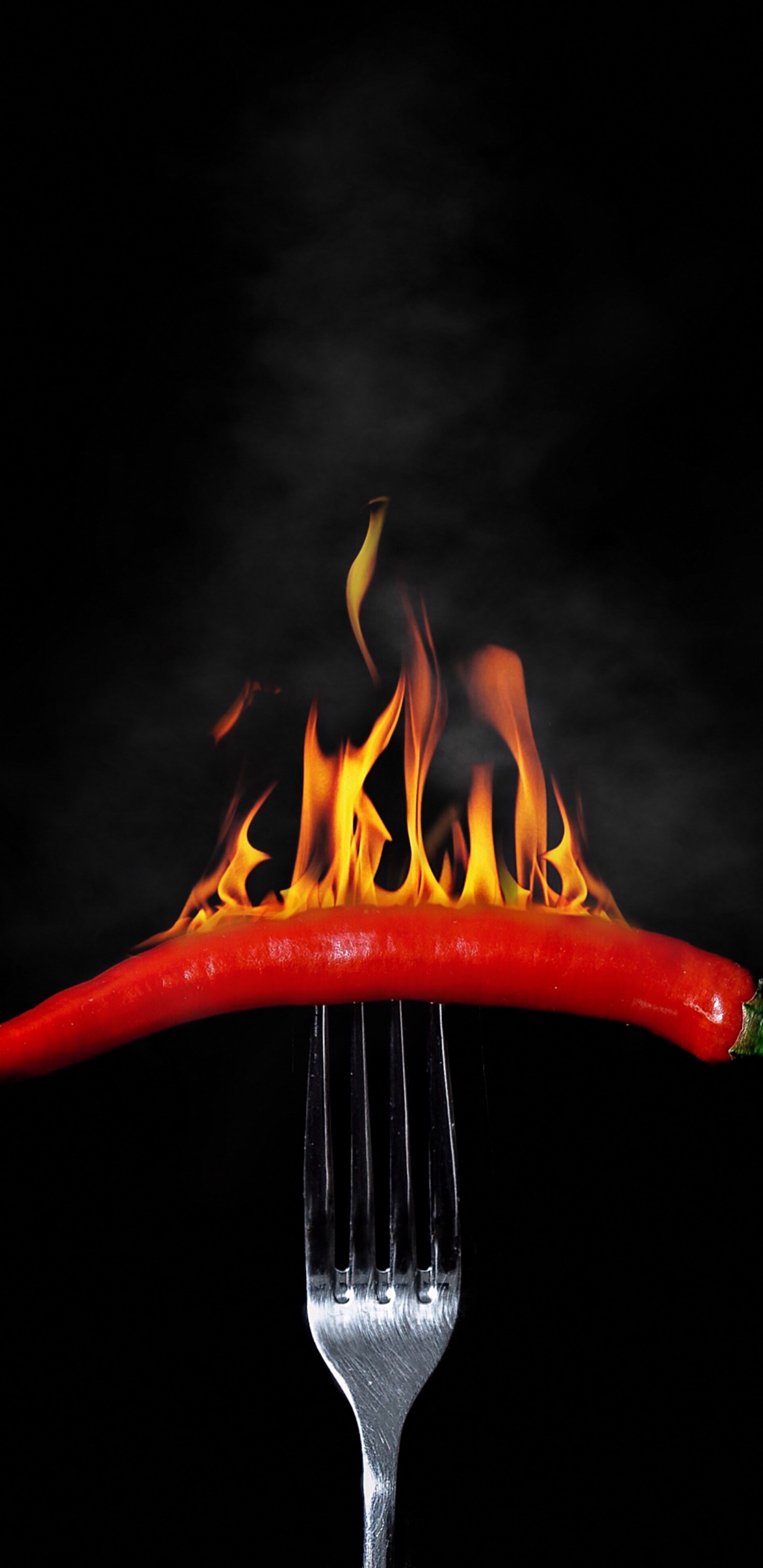 Fourchette en Acier Inoxydable Avec Piment Rouge. Wallpaper in 1440x2960 Resolution