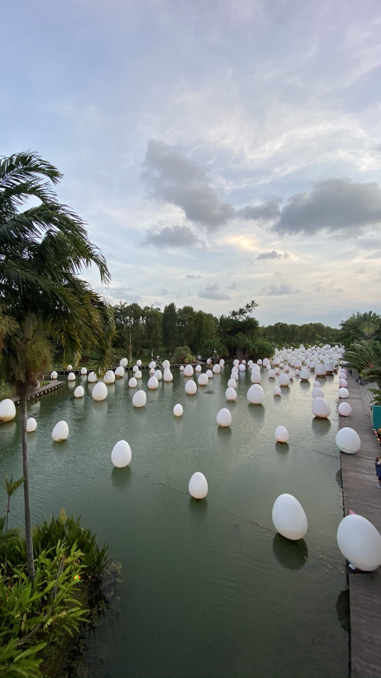Cuerpo de Agua, la Vía Navegable, Los Recursos de Agua, Embalse, Trópicos. Wallpaper in 750x1334 Resolution