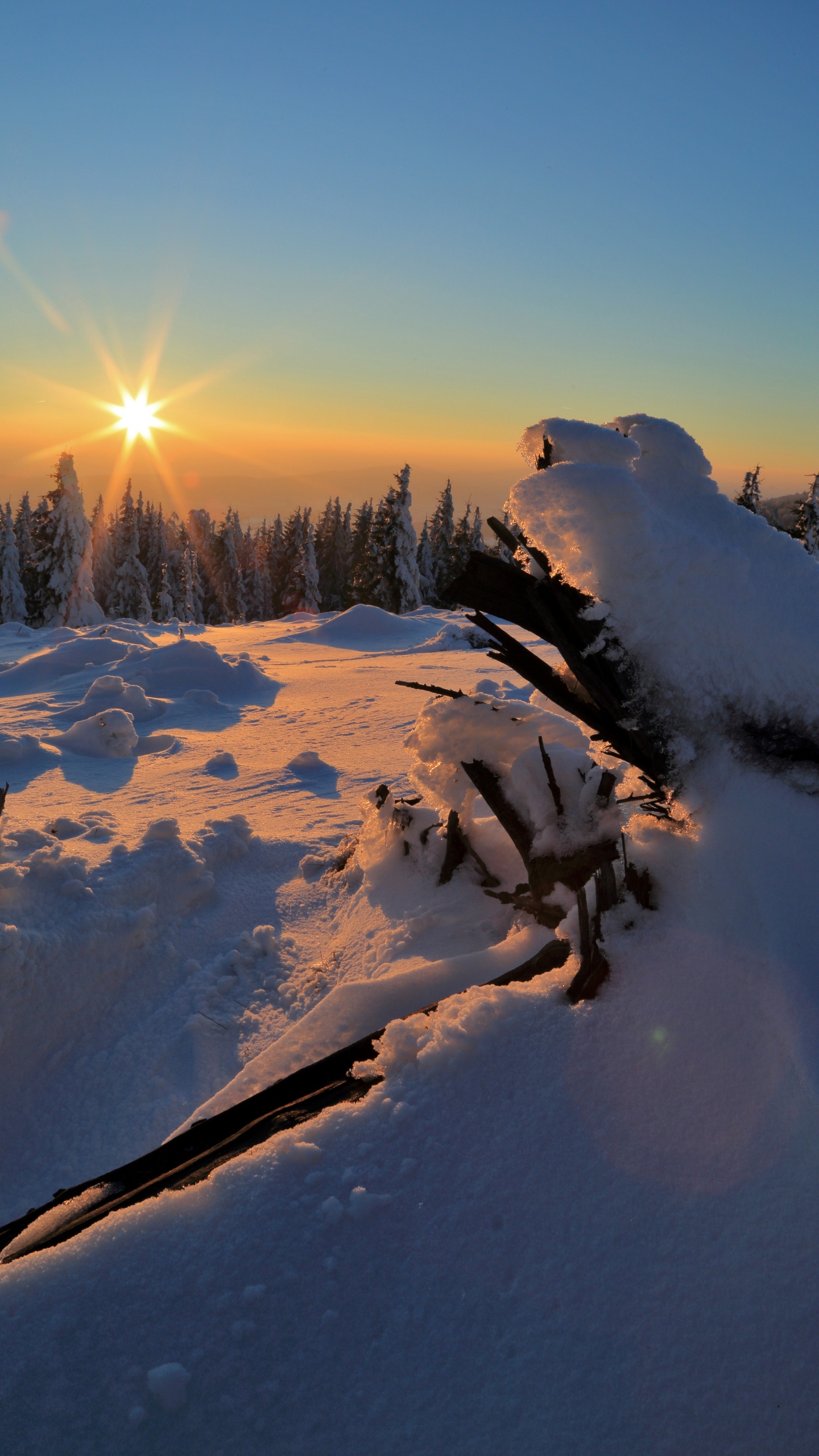 Cloud, Schnee, Ökoregion, Piste, Branch. Wallpaper in 1440x2560 Resolution