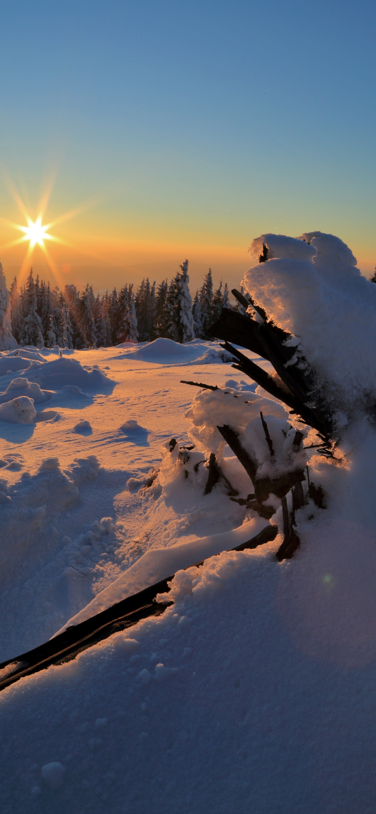 Cloud, Snow, Ecoregion, Plant, Slope. Wallpaper in 1242x2688 Resolution
