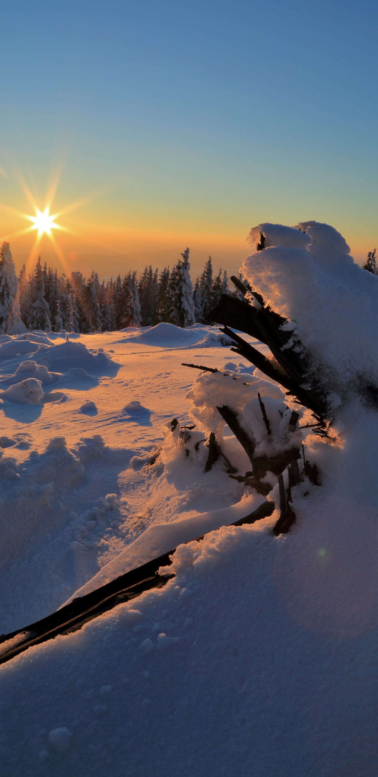 Cloud, Snow, Ecoregion, Plant, Slope. Wallpaper in 1440x2960 Resolution