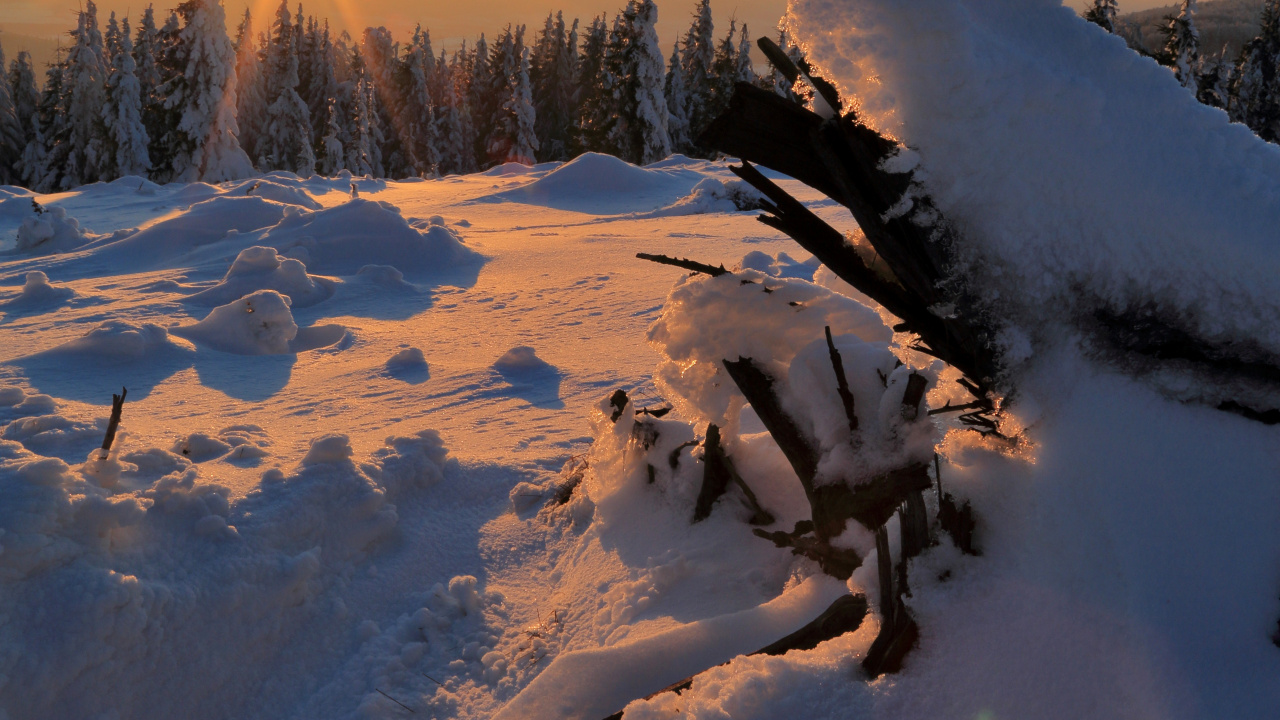 Nieve, Ecorregión, Pendiente, Sucursal, Paisaje Natural. Wallpaper in 1280x720 Resolution