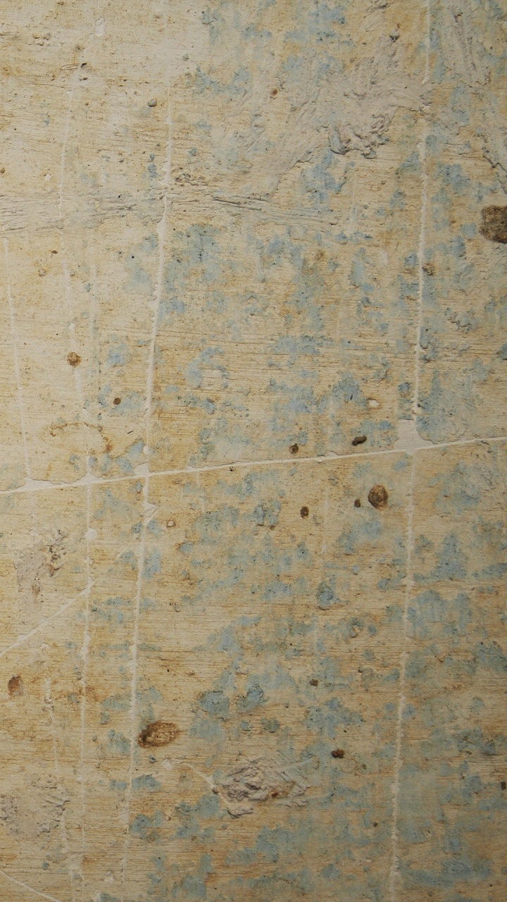 Surface en Bois Blanche et Marron. Wallpaper in 720x1280 Resolution