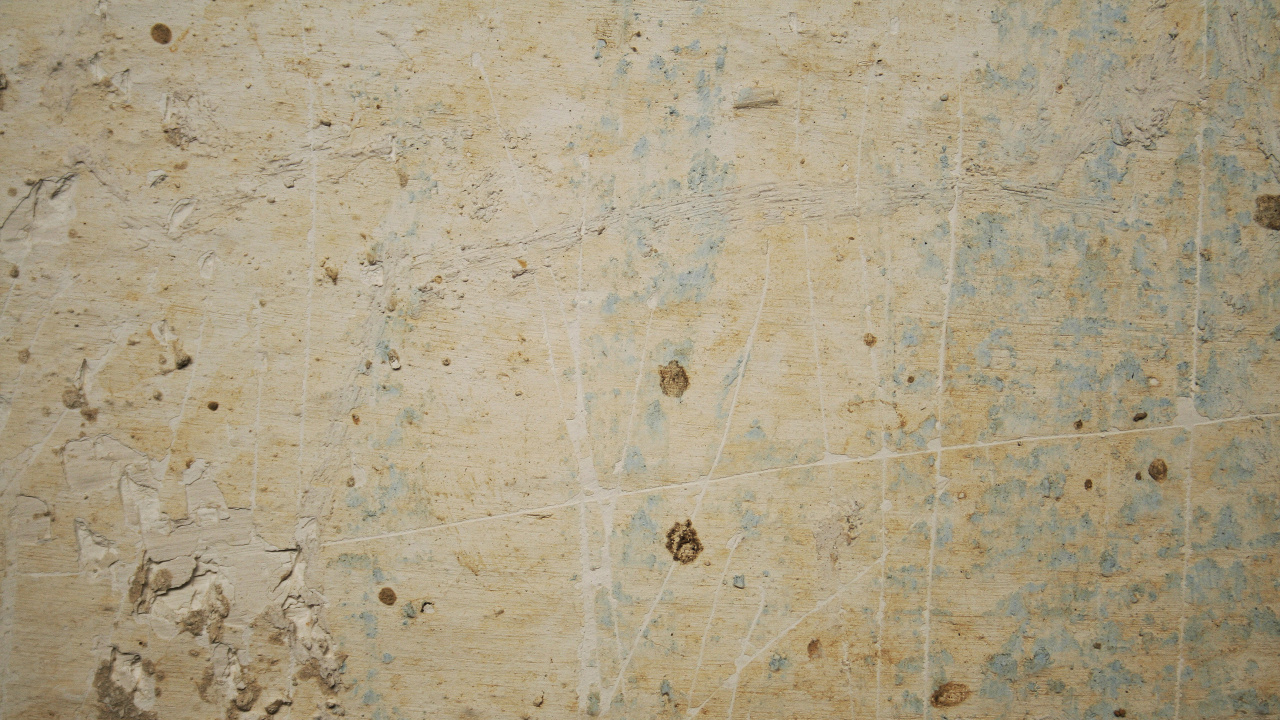 White and Brown Wooden Surface. Wallpaper in 1280x720 Resolution