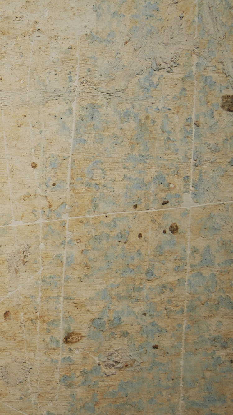 White and Brown Wooden Surface. Wallpaper in 750x1334 Resolution