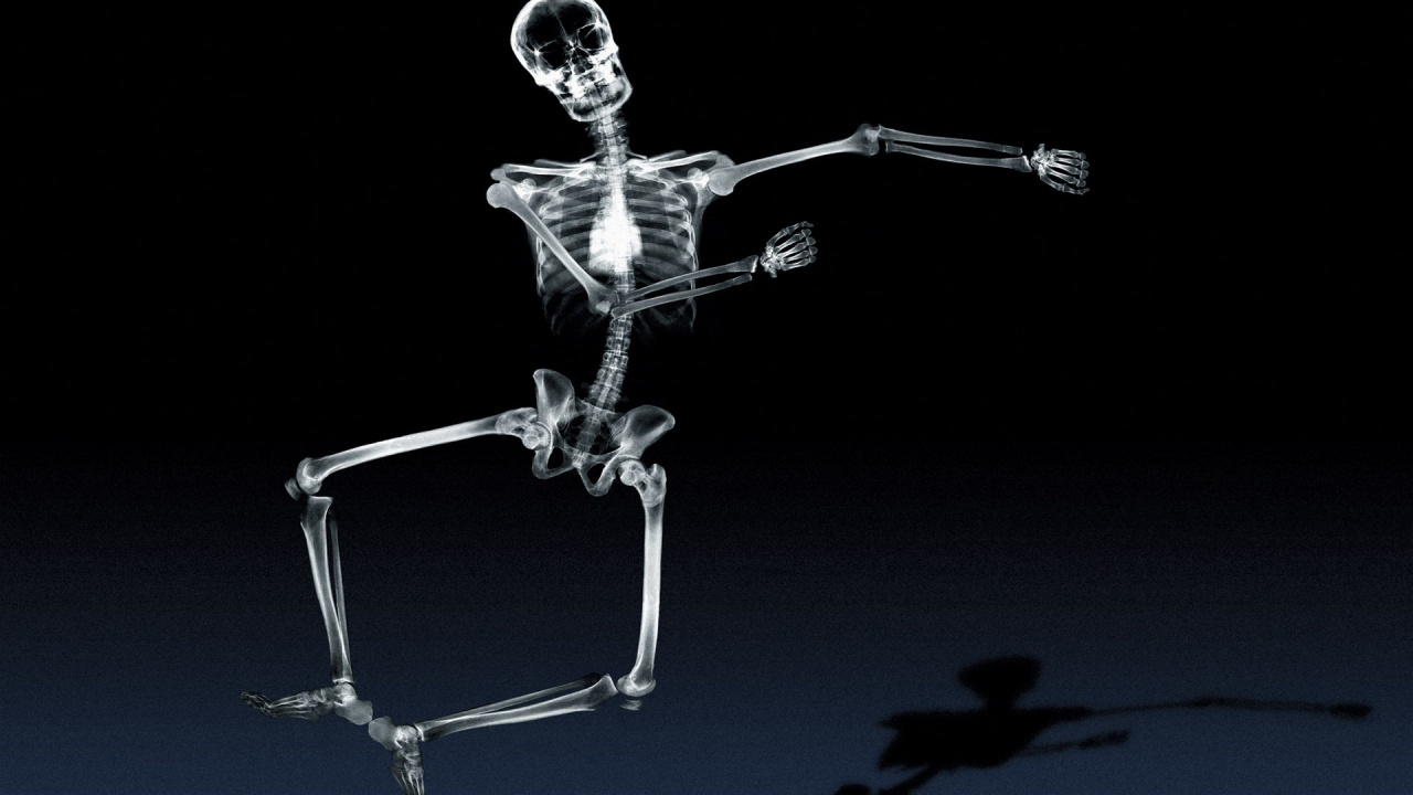 Silver Human Skeleton With Black Background. Wallpaper in 1280x720 Resolution