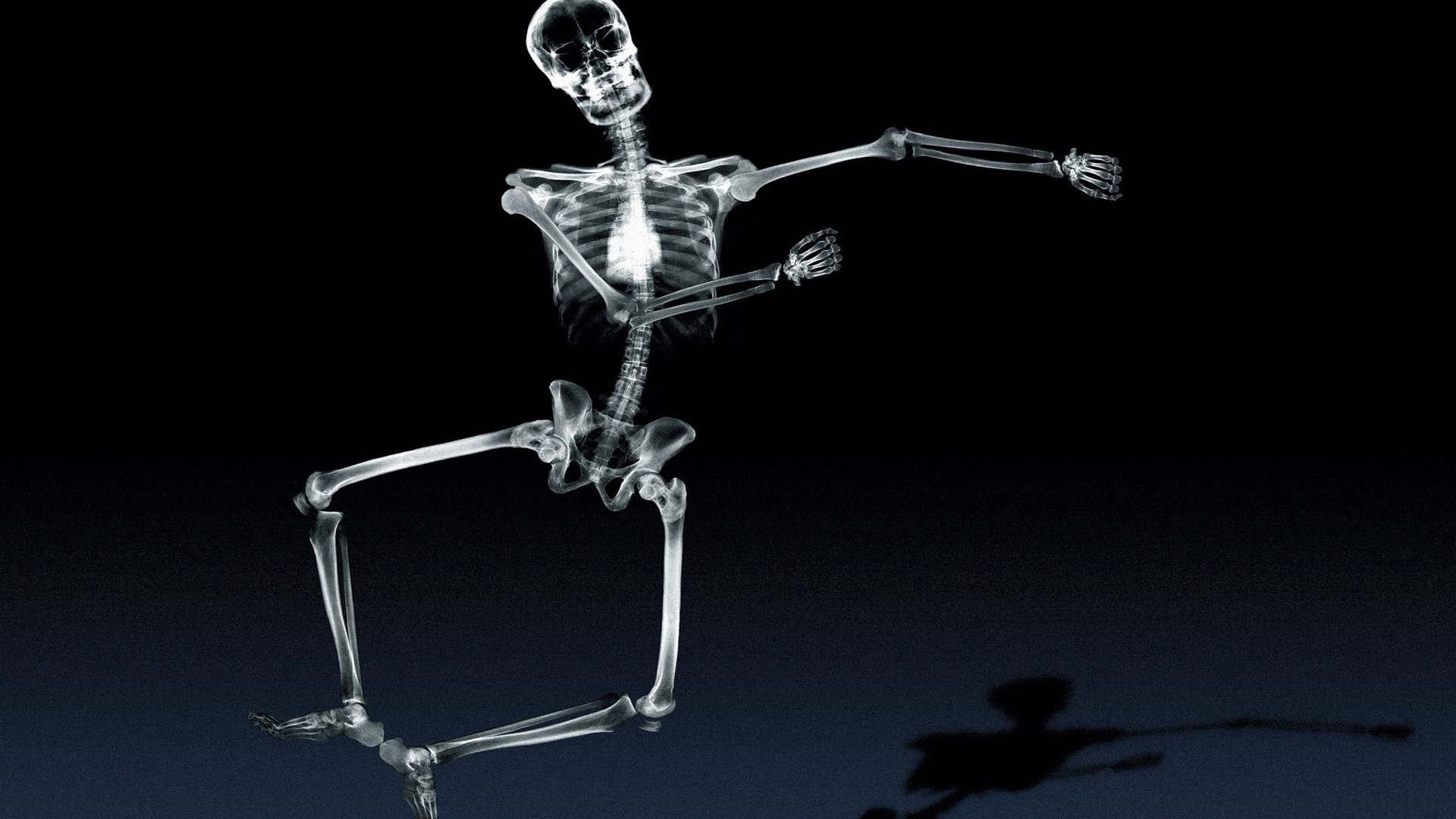 Silver Human Skeleton With Black Background. Wallpaper in 1920x1080 Resolution