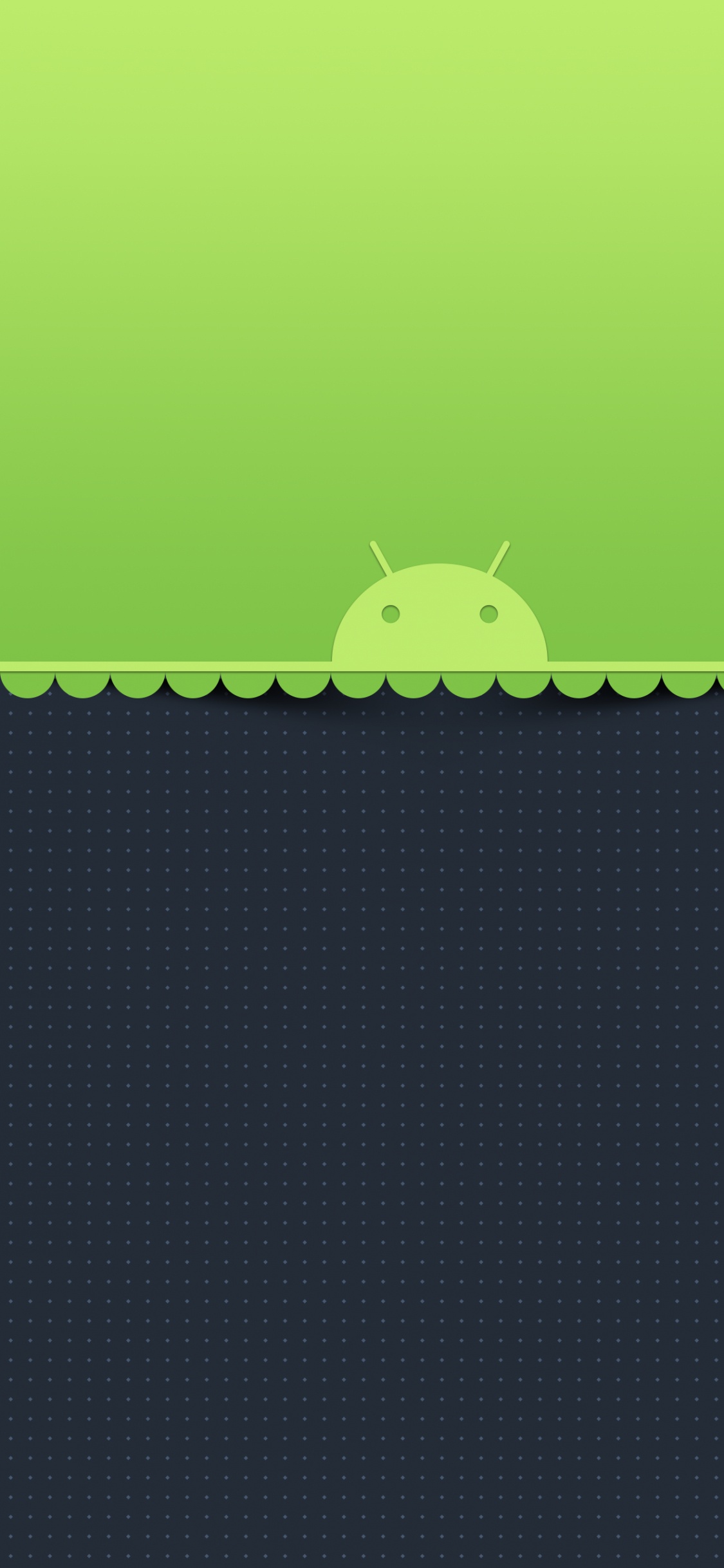 Grass, Rectangle, Asphalt, Cartoon, Insect. Wallpaper in 1125x2436 Resolution