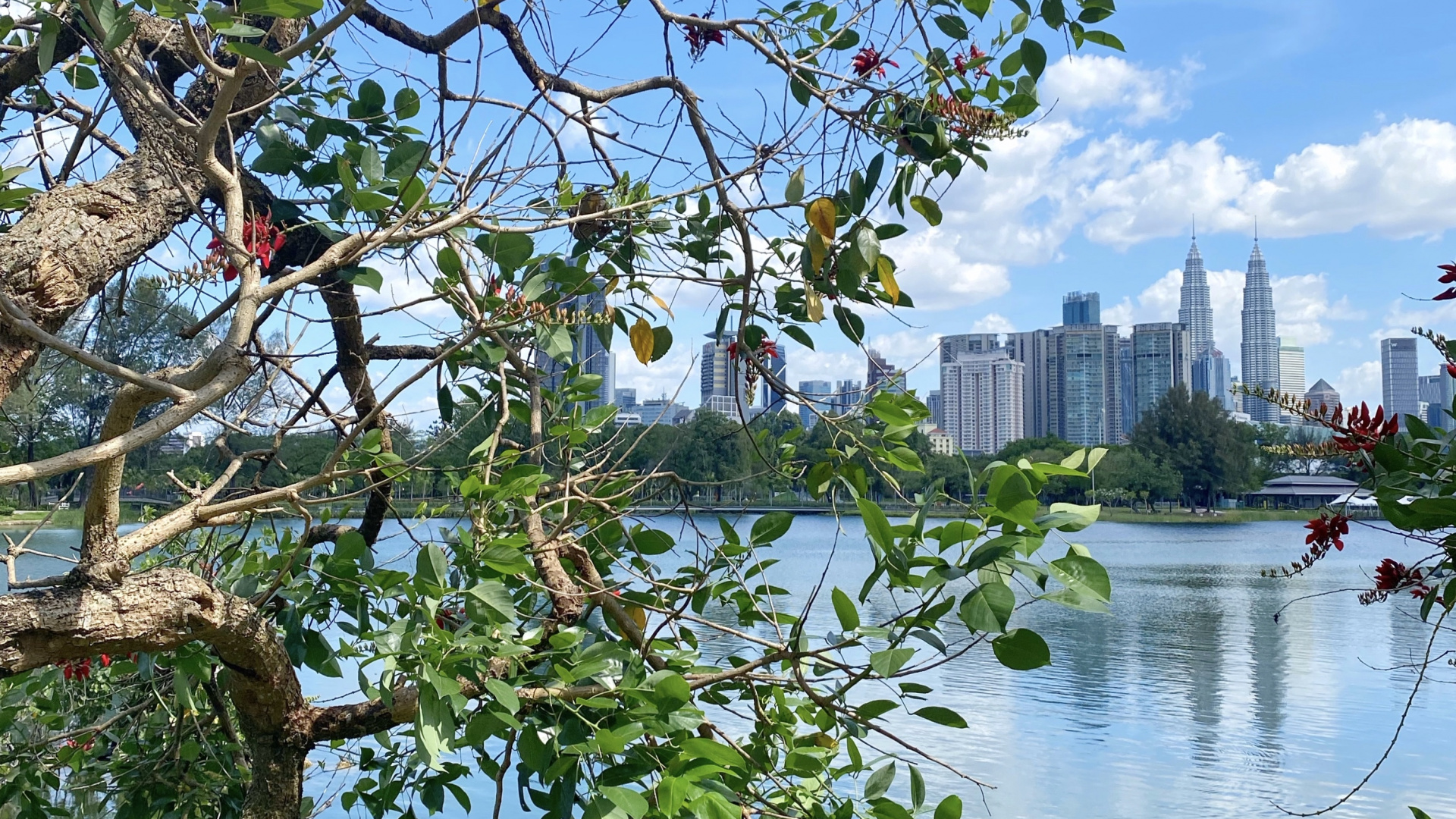 Wasser, Blatt, Pflanzen, Wissenschaft, Biologie. Wallpaper in 1920x1080 Resolution