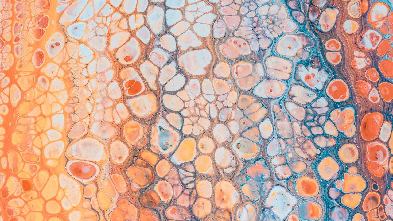 Blue and White Floral Textile. Wallpaper in 1280x720 Resolution