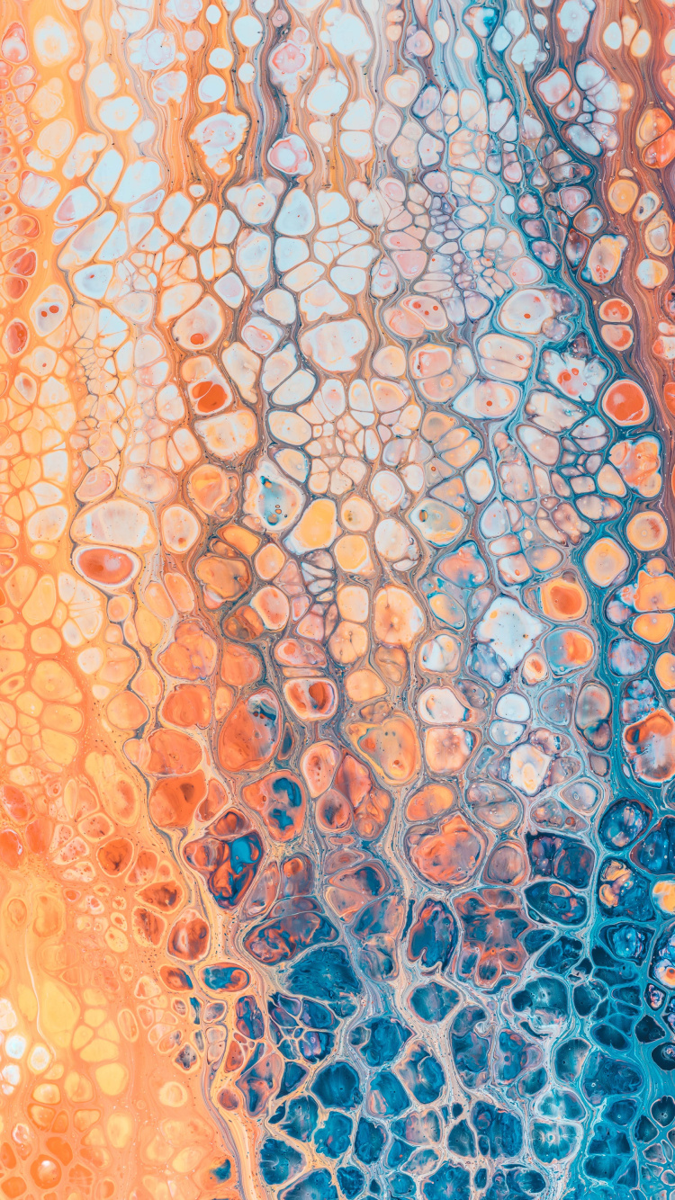 Blue and White Floral Textile. Wallpaper in 750x1334 Resolution