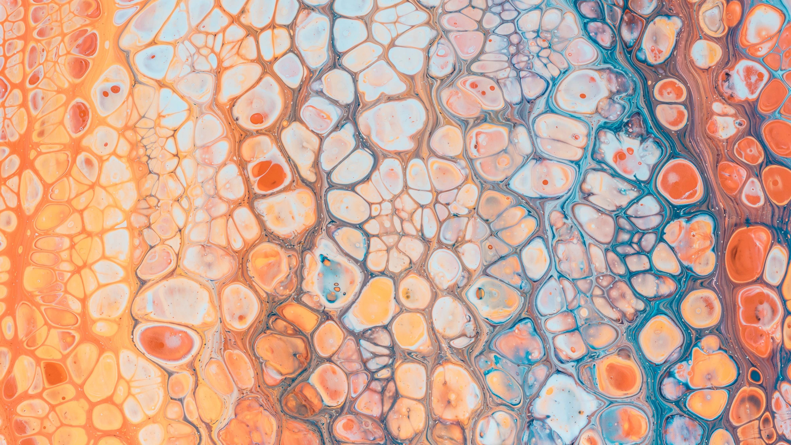 Textile Floral Bleu et Blanc. Wallpaper in 2560x1440 Resolution