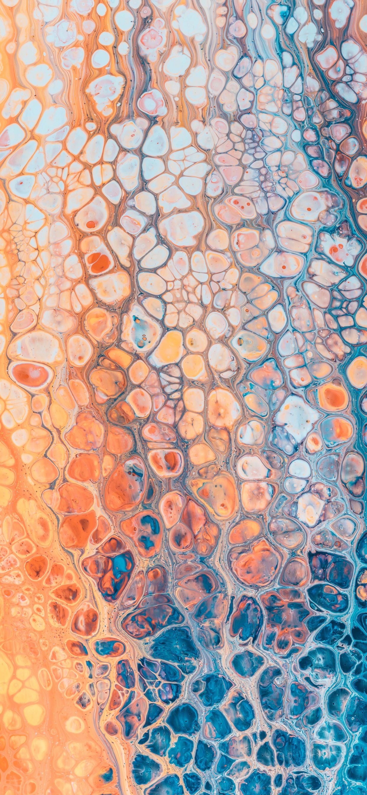 橙色, 艺术, 水彩画, 创造性的艺术, 圆圈 壁纸 1242x2688 允许