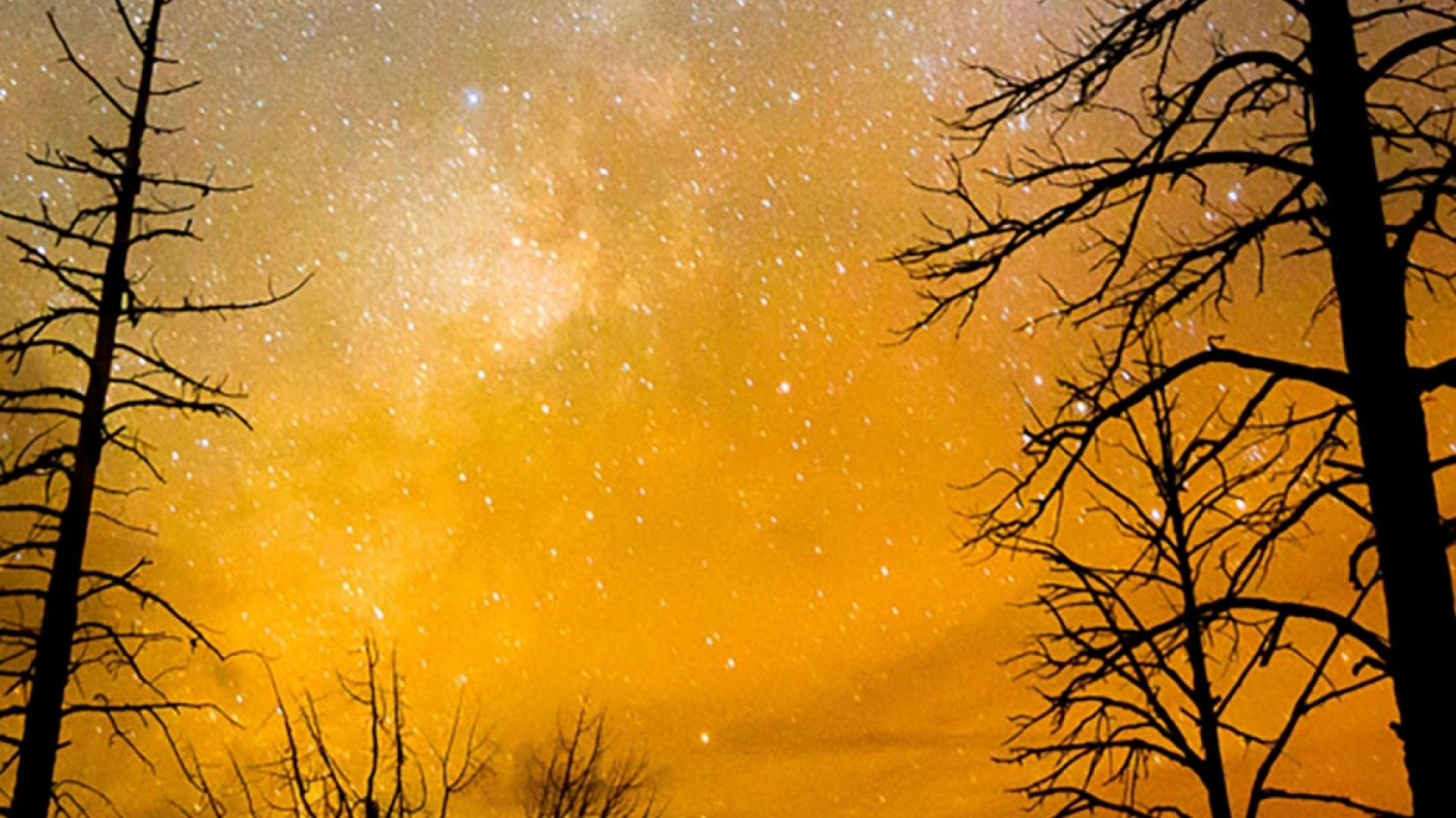 Nature, Tree, Cloud, Atmosphere, Natural Landscape. Wallpaper in 1366x768 Resolution