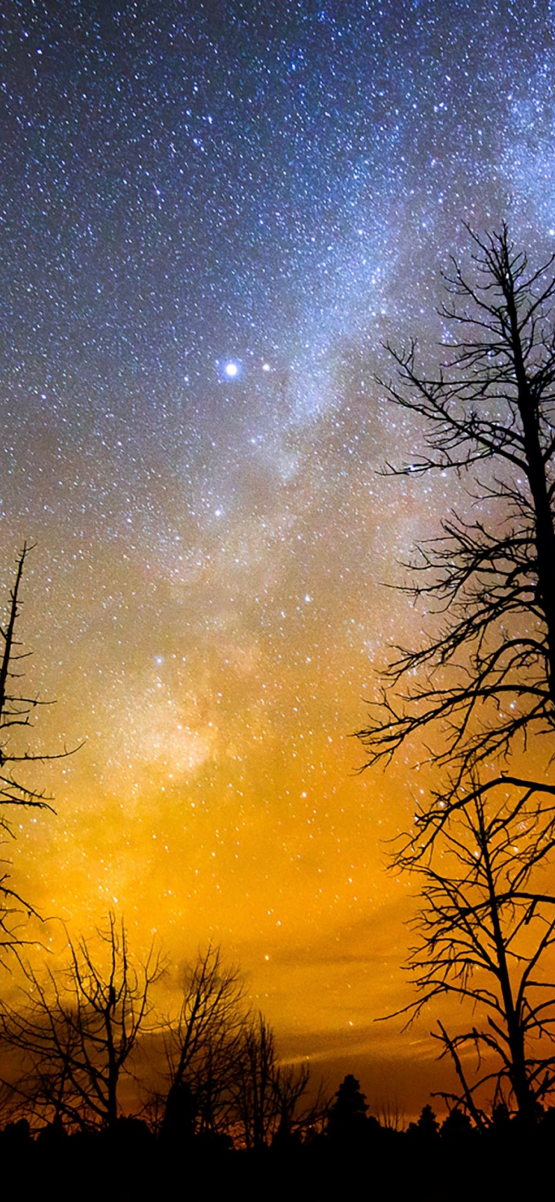 Natur, Baum, Cloud, Atmosphäre, Naturlandschaft. Wallpaper in 1125x2436 Resolution