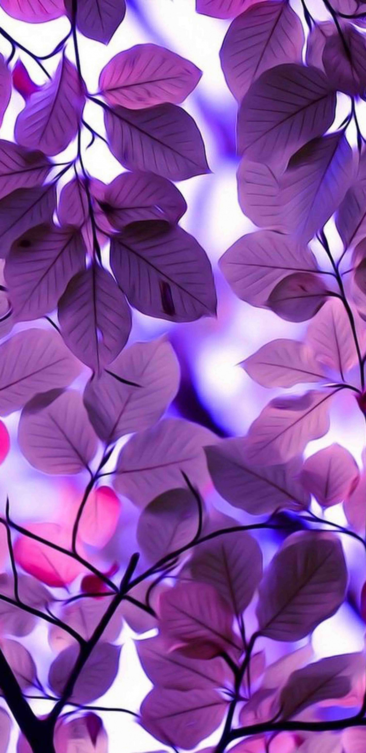 Green Leaves in Tilt Shift Lens. Wallpaper in 1440x2960 Resolution