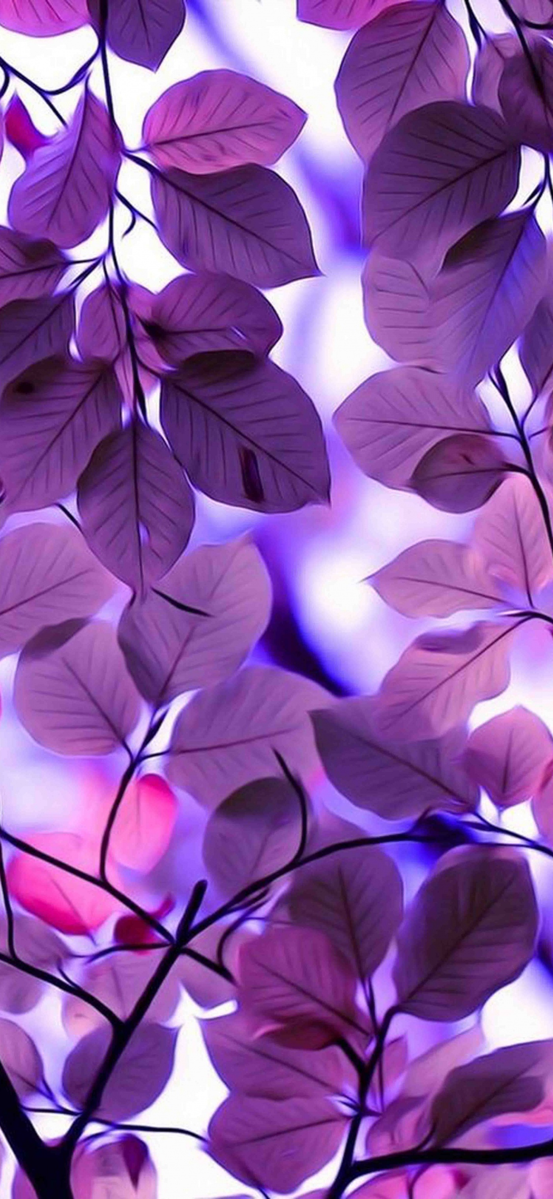 Feuilles Vertes Dans L'objectif à Basculement. Wallpaper in 1125x2436 Resolution