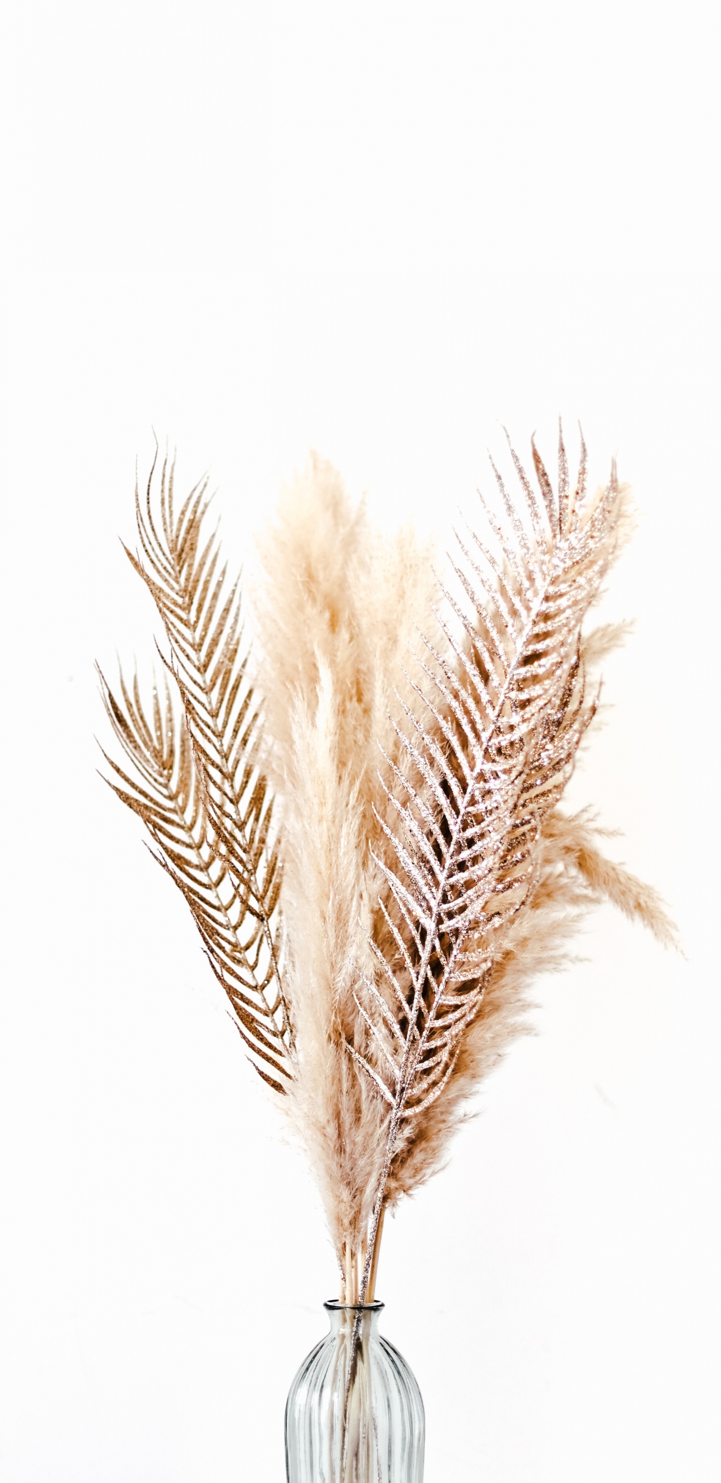 Ilustración de Pluma Marrón y Blanca. Wallpaper in 1440x2960 Resolution