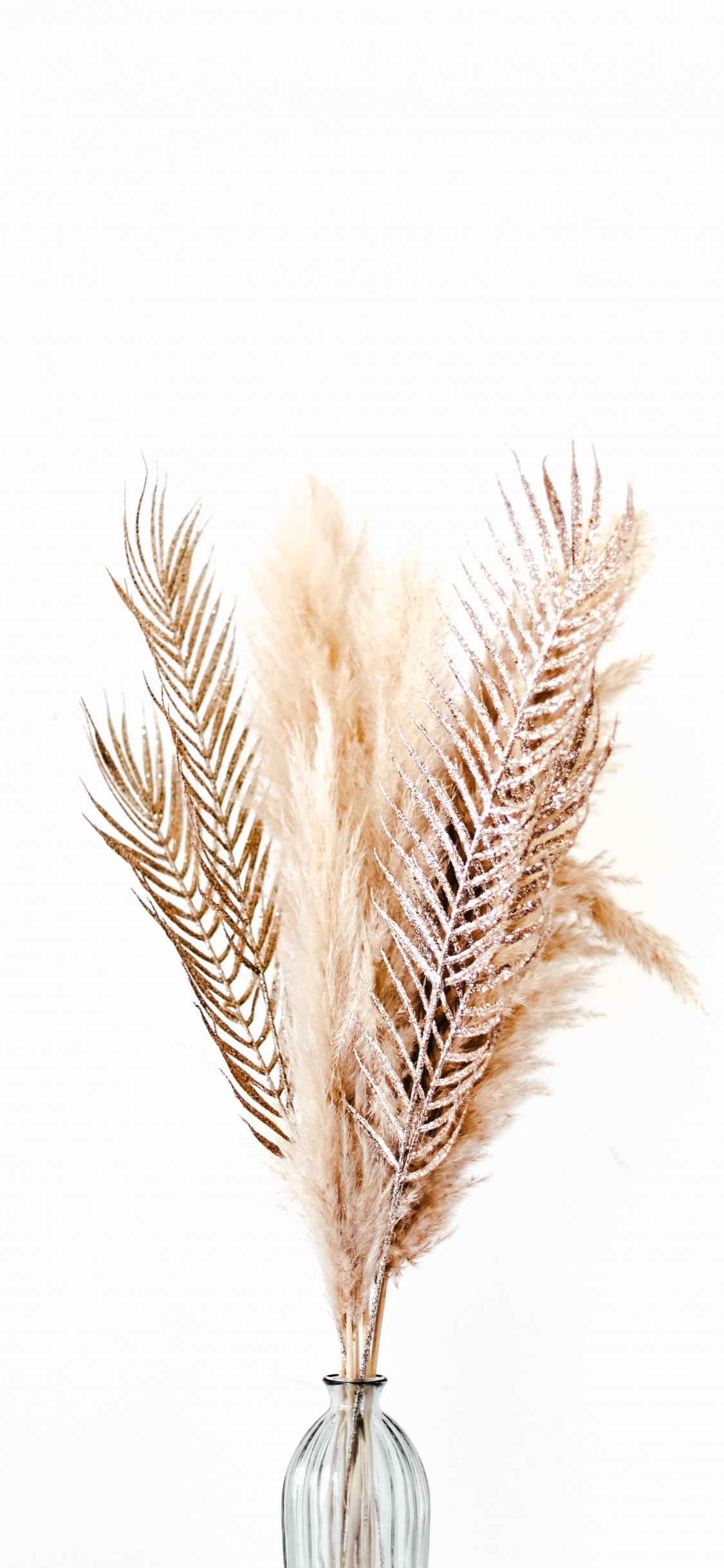 Illustration de Plume Brune et Blanche. Wallpaper in 1125x2436 Resolution