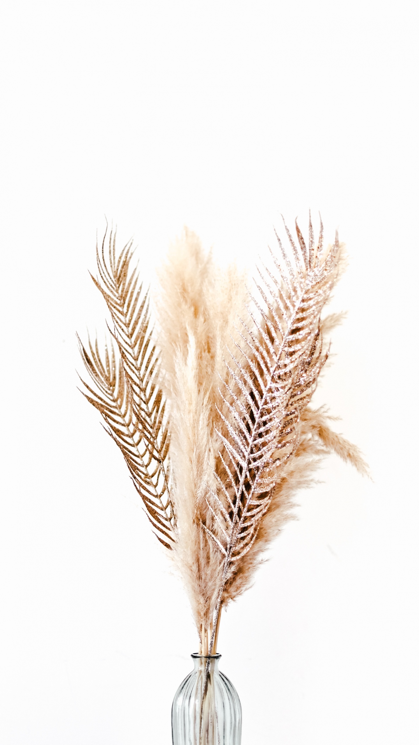 Illustration de Plume Brune et Blanche. Wallpaper in 1440x2560 Resolution