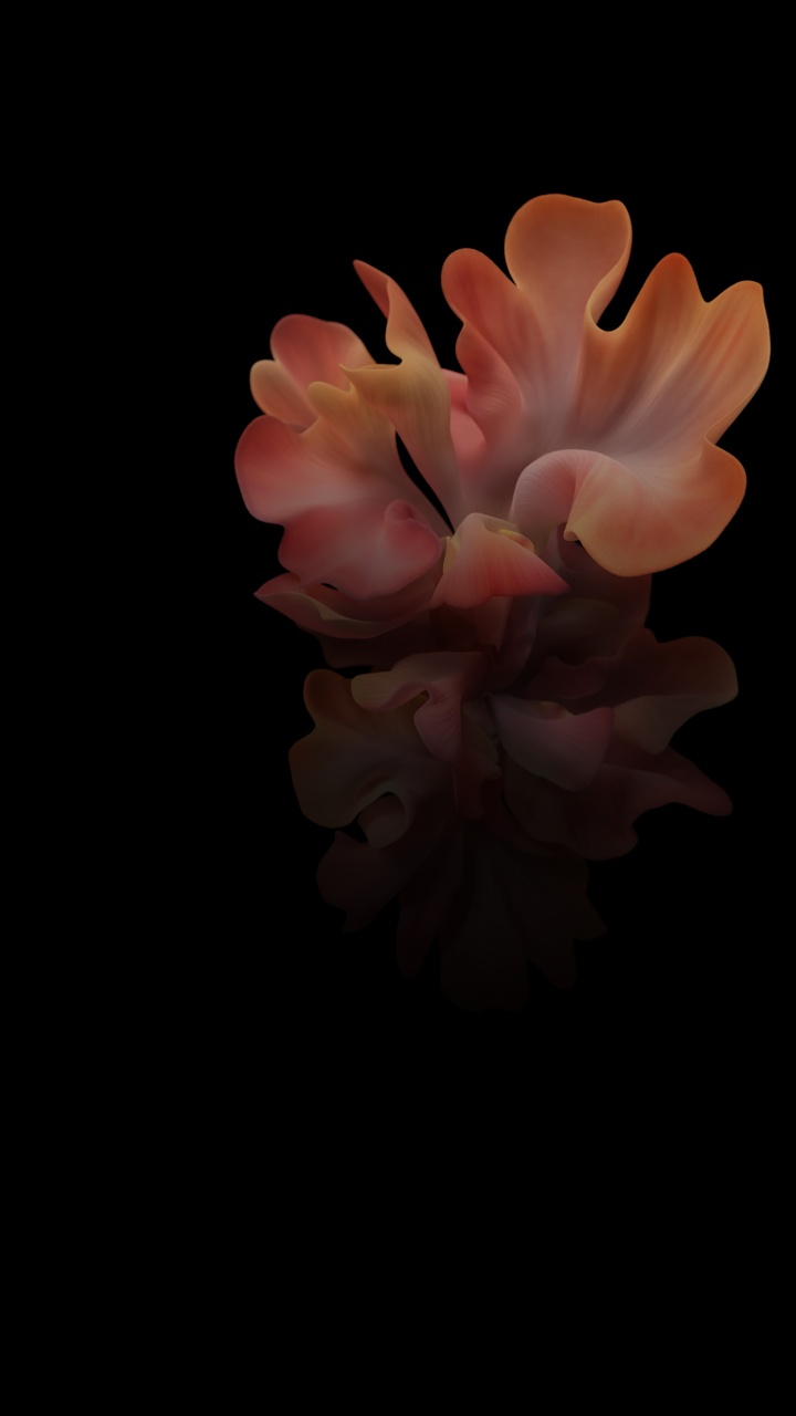 Samsung Galaxy, Samsung, Samsung Galaxy Z Flip, Desbloqueado, Smartphone. Wallpaper in 720x1280 Resolution