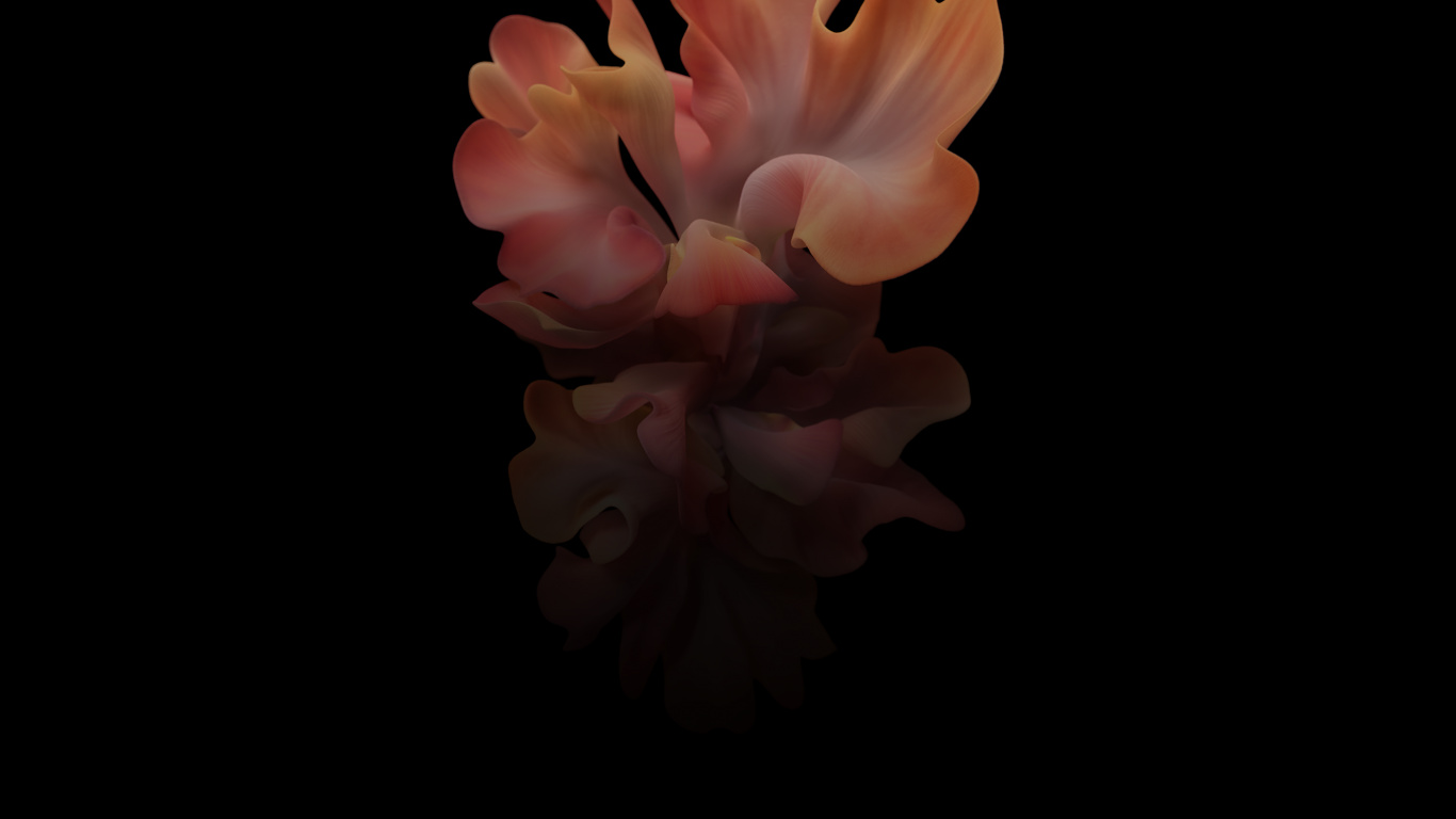 Samsung Galaxy, Samsung, Samsung Galaxy Z Flip, Déverrouillé, Smartphone. Wallpaper in 1366x768 Resolution