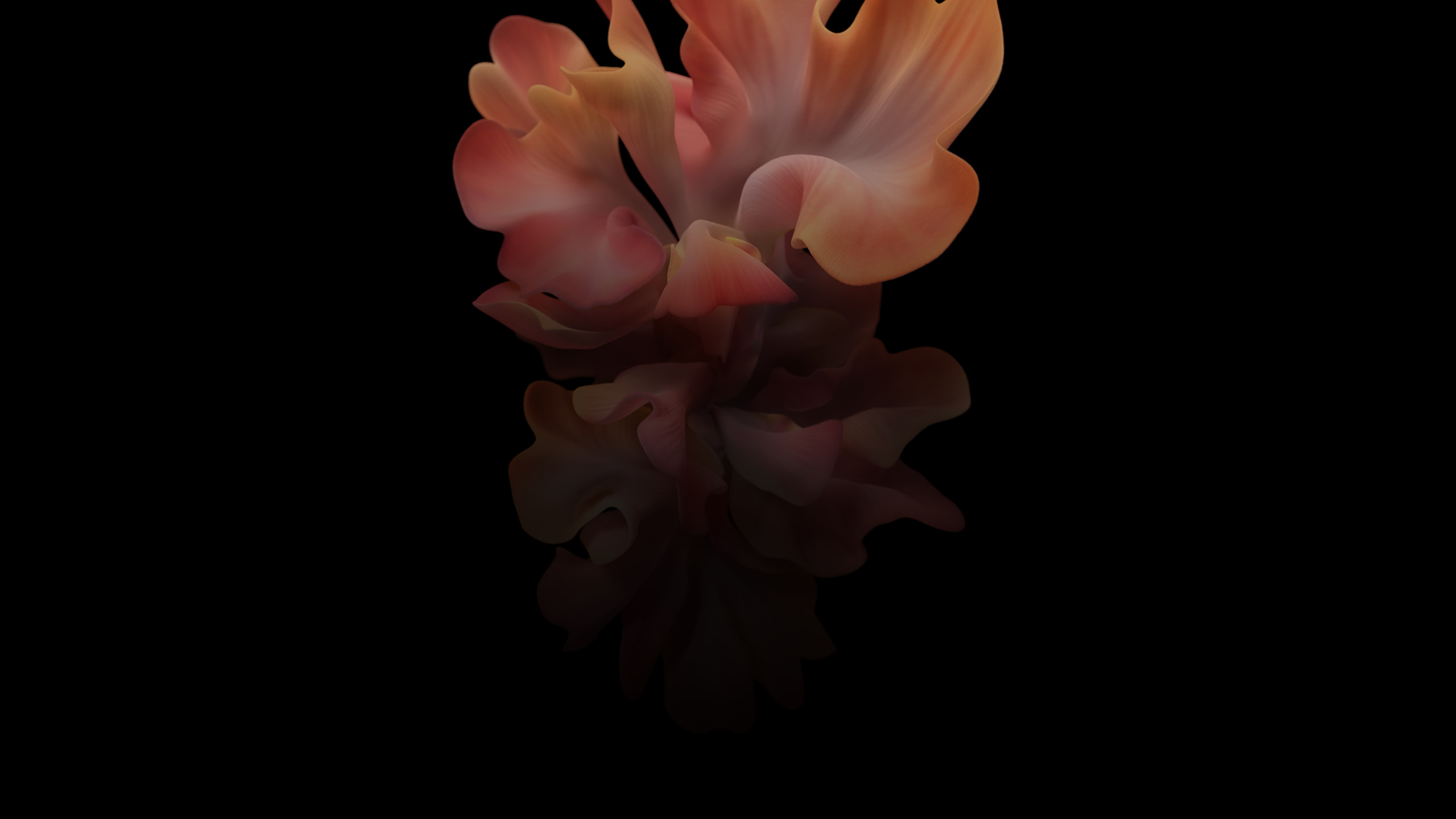 Samsung Galaxy, Samsung, Samsung Galaxy Z Flip, Déverrouillé, Smartphone. Wallpaper in 2560x1440 Resolution