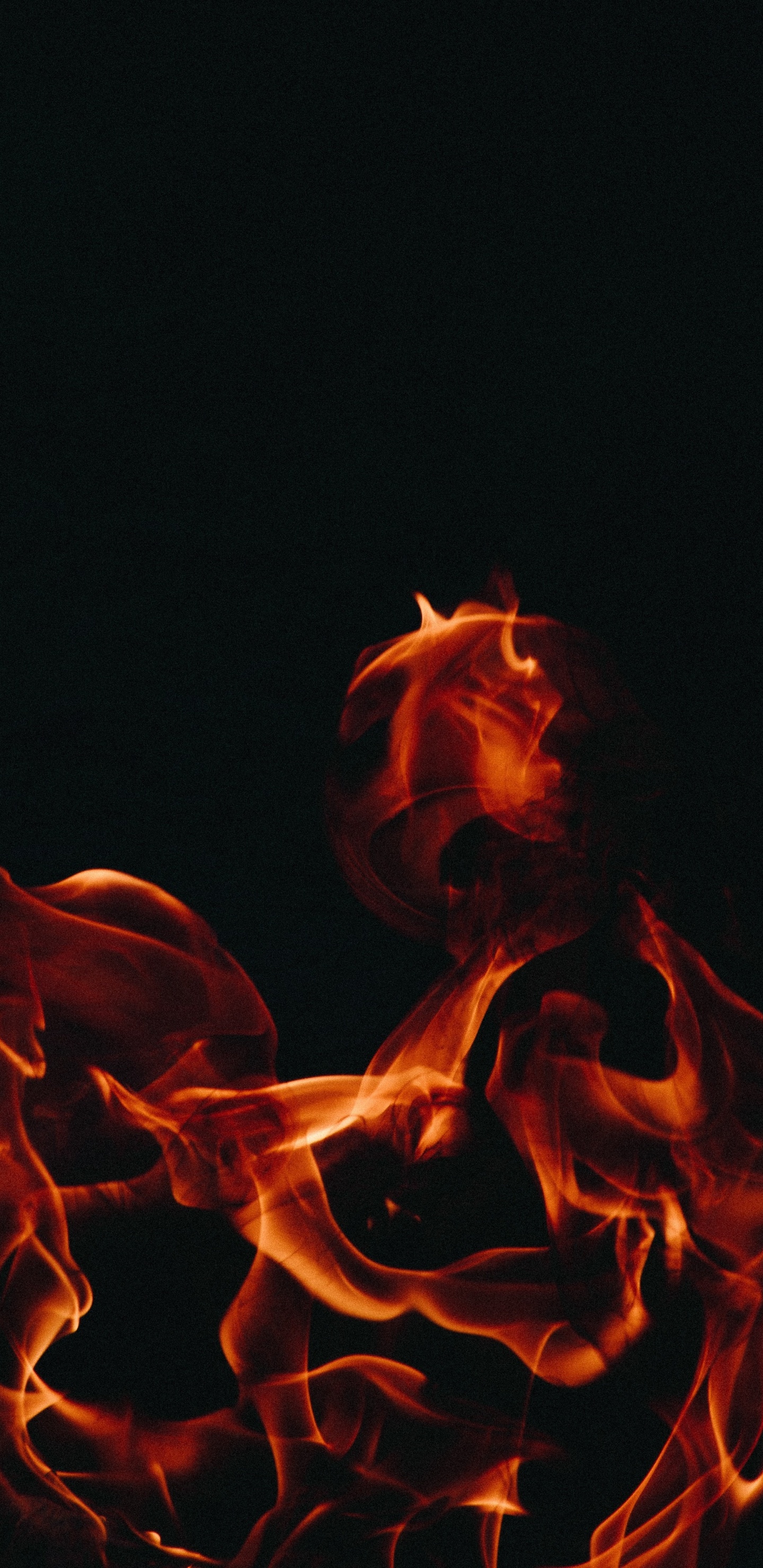 火焰, 热, 表演艺术, 性能, 生产率 壁纸 1440x2960 允许