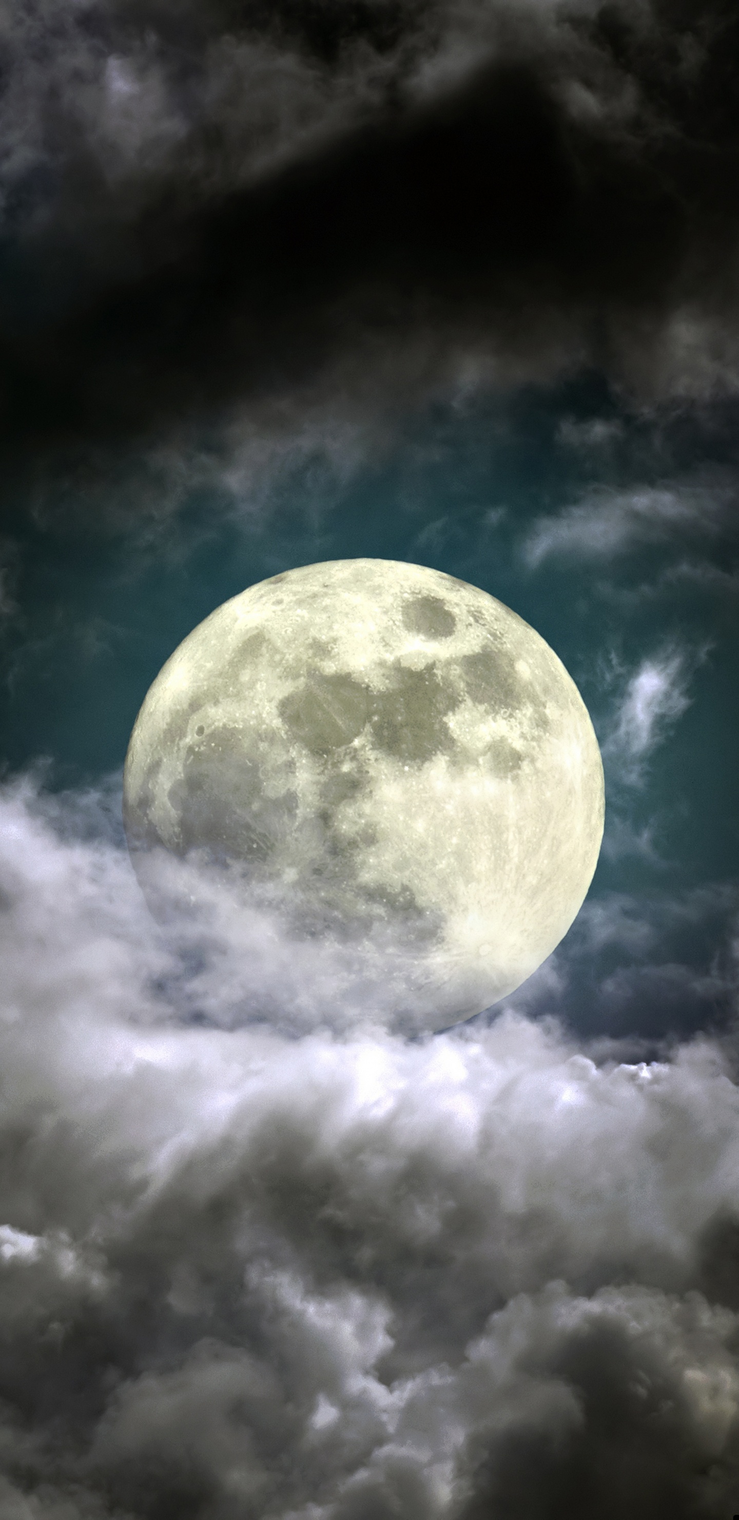Full Moon in The Sky. Wallpaper in 1440x2960 Resolution