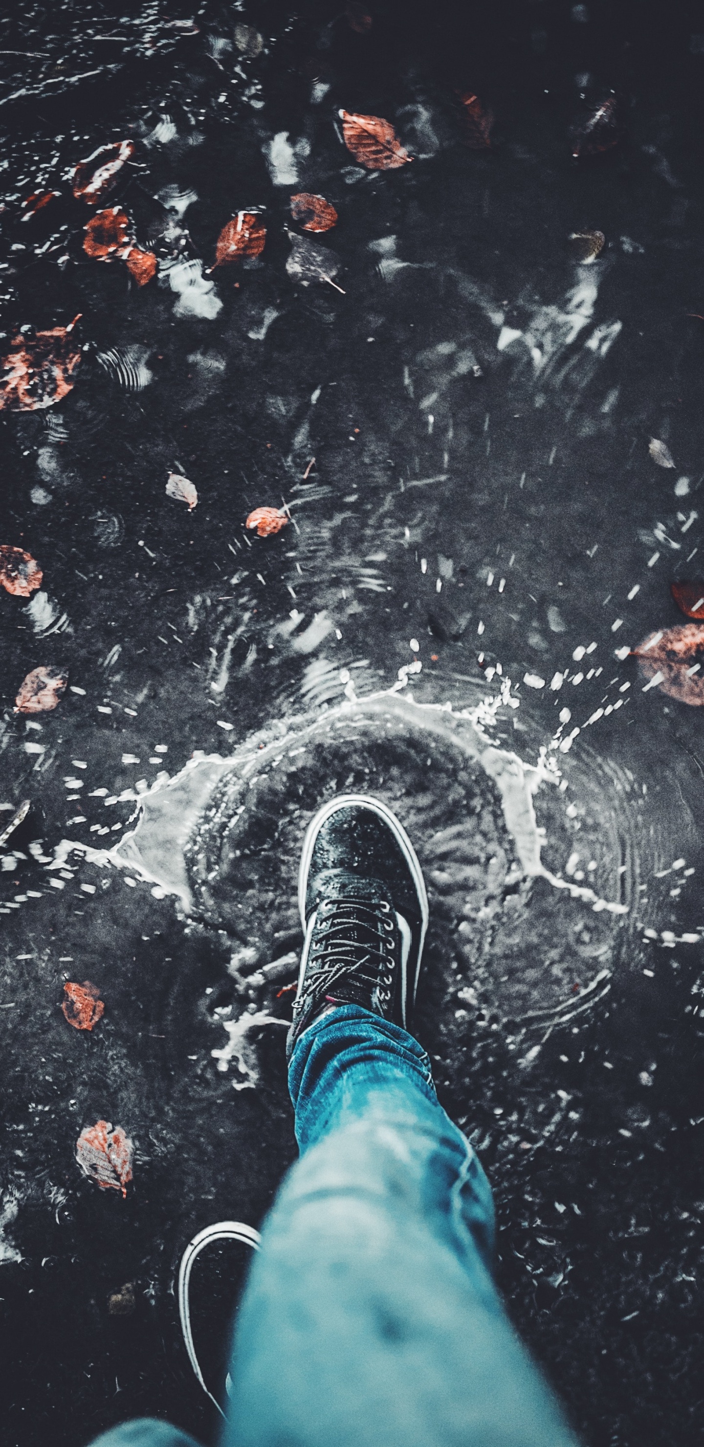 Person in Blue Denim Jeans and Black and White Sneakers Standing on Water. Wallpaper in 1440x2960 Resolution