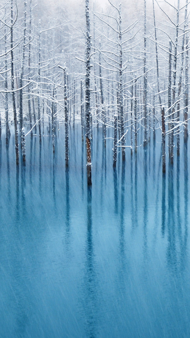 Byron Katie Die Arbeitsfragen, Lieben Was Ist, Angelegenheit, Wasser, Natur. Wallpaper in 750x1334 Resolution