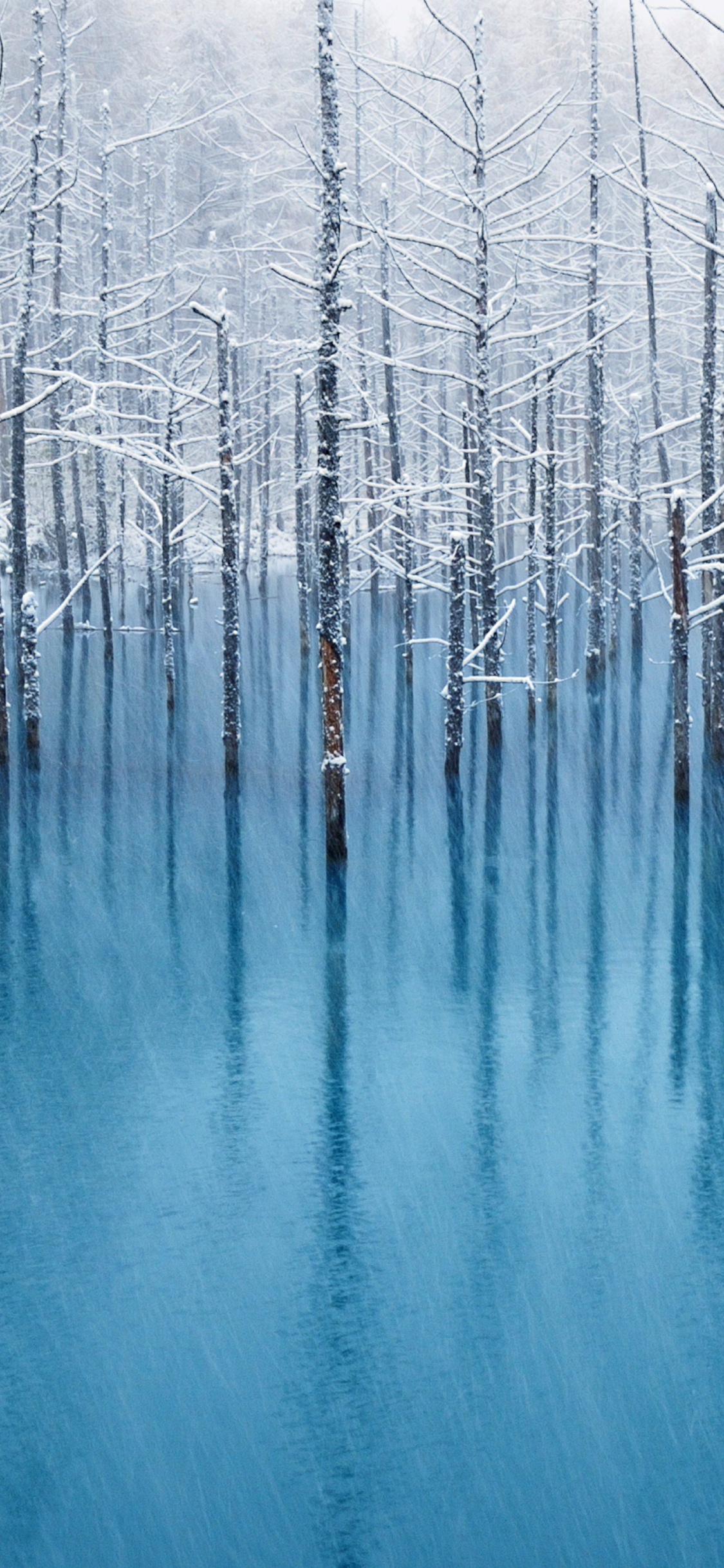 Byron Katie Les Questions de Travail, Aimer ce Qui Est, Question, Eau, Nature. Wallpaper in 1125x2436 Resolution