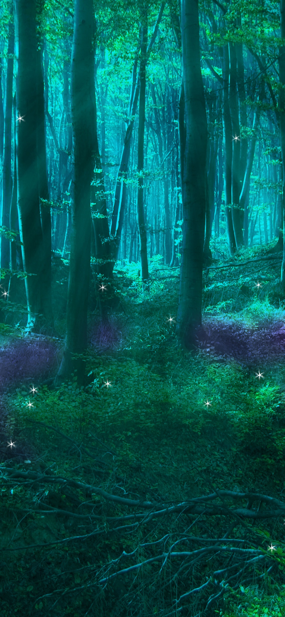 童话, 森林, 性质, 绿色的, 自然环境 壁纸 1125x2436 允许