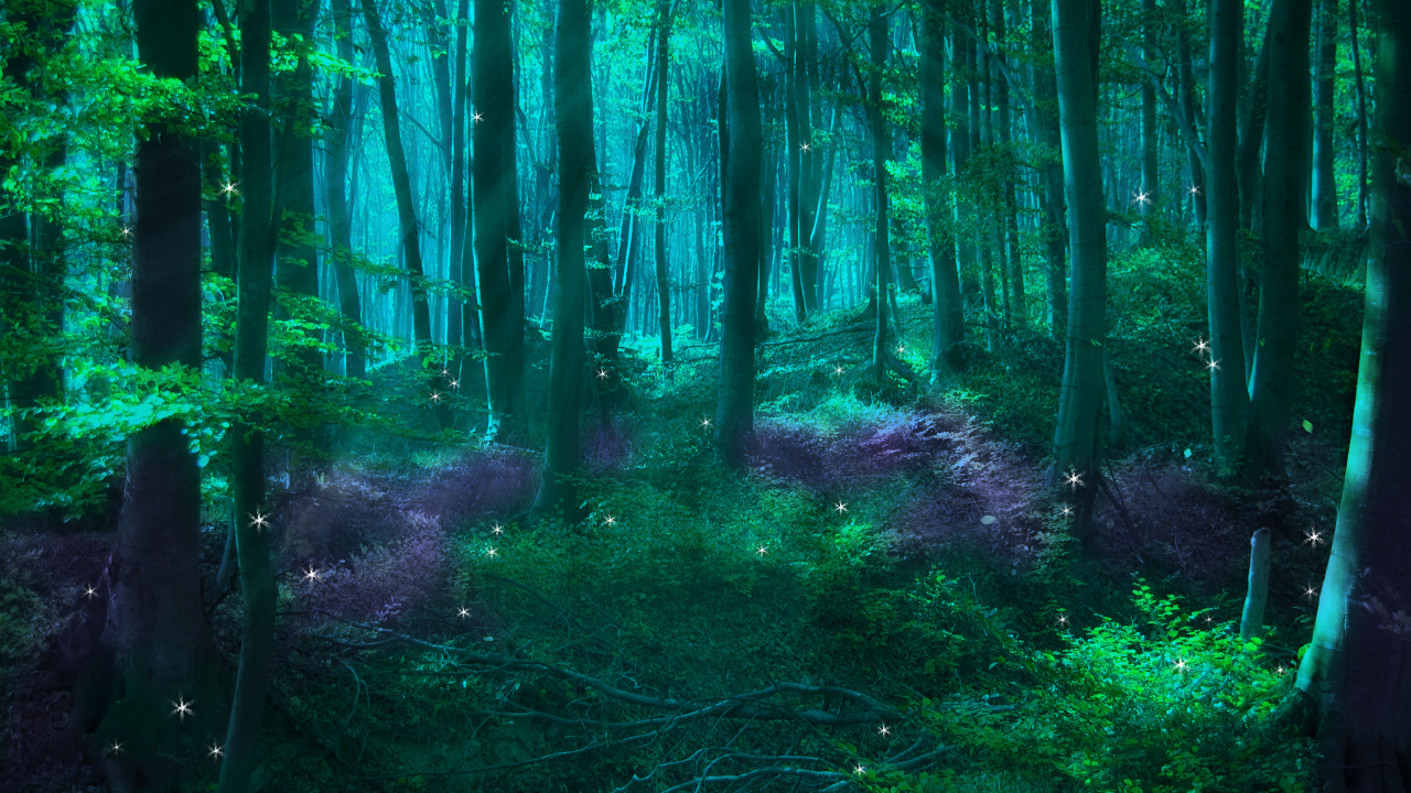 童话, 森林, 性质, 绿色的, 自然环境 壁纸 1280x720 允许