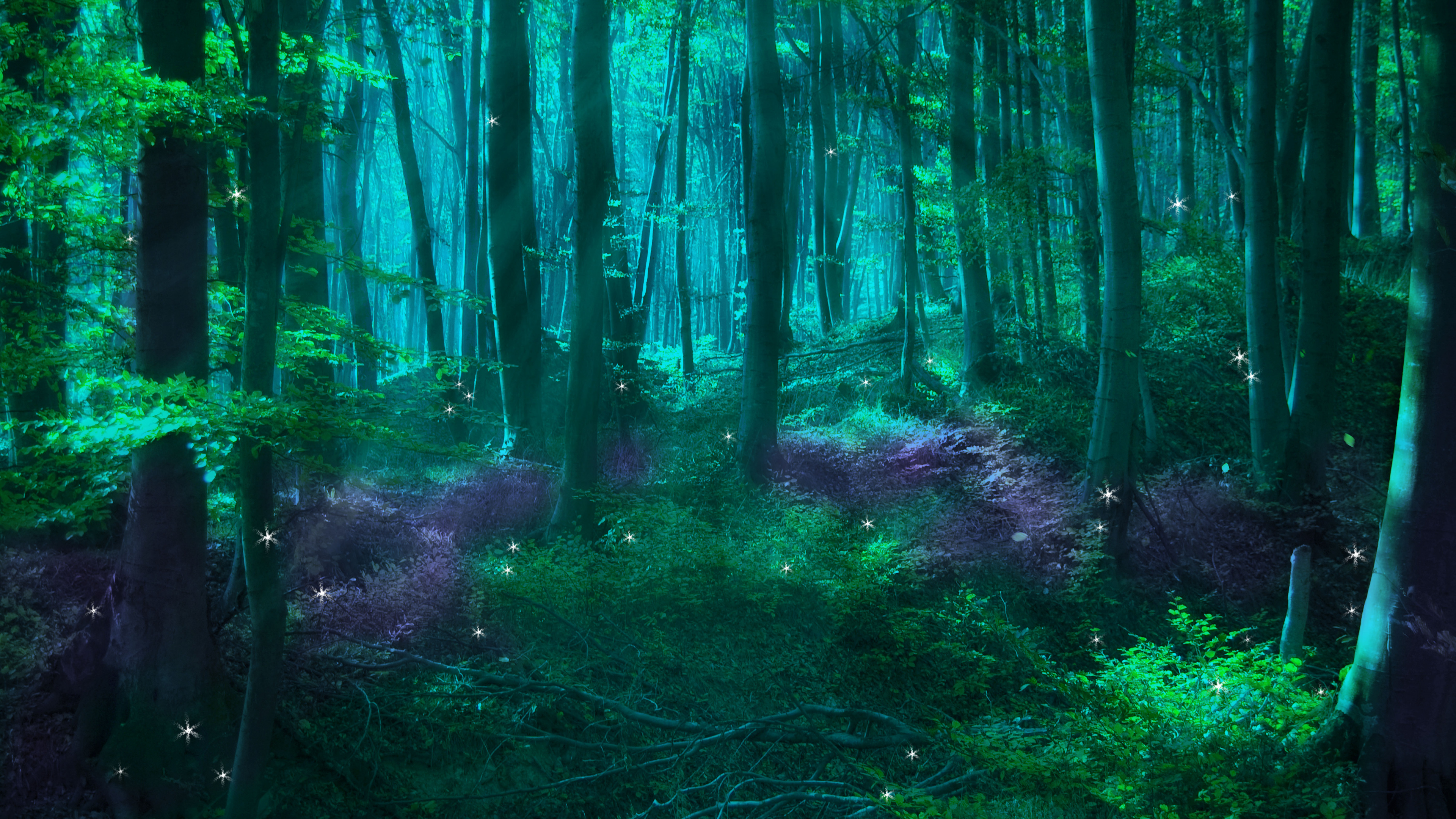 童话, 森林, 性质, 绿色的, 自然环境 壁纸 3840x2160 允许