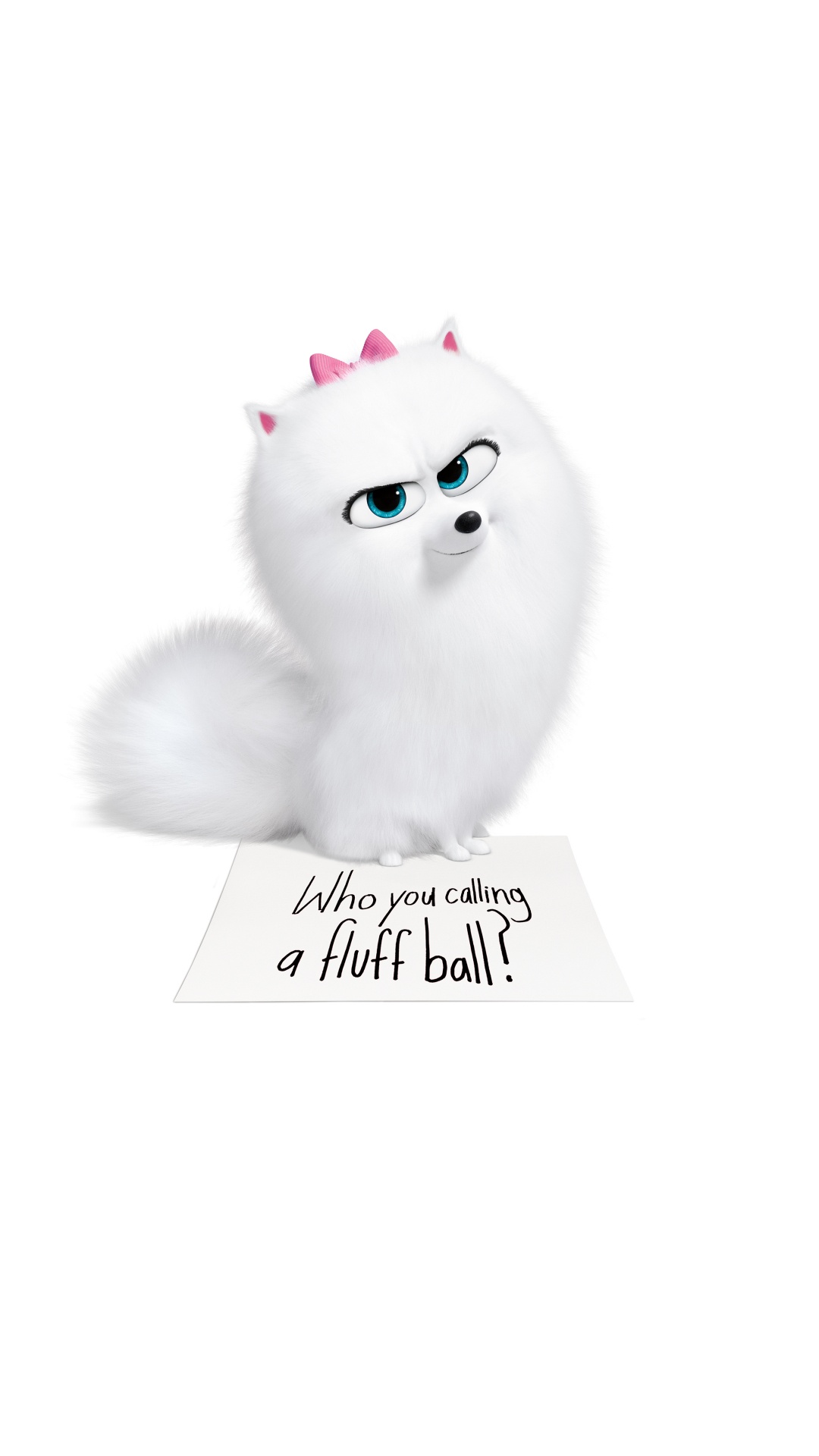 White Fur Cat With Black Background. Wallpaper in 1080x1920 Resolution