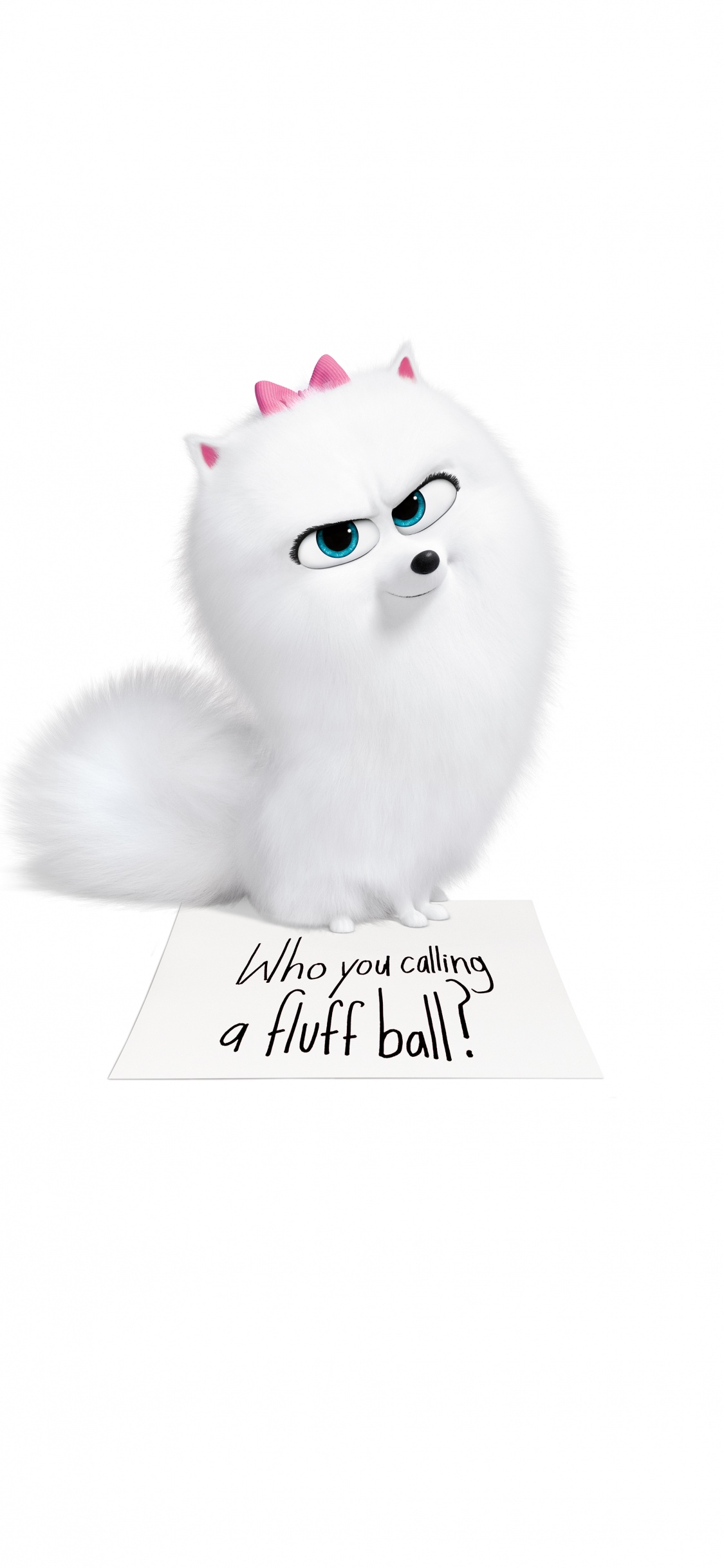 White Fur Cat With Black Background. Wallpaper in 1125x2436 Resolution