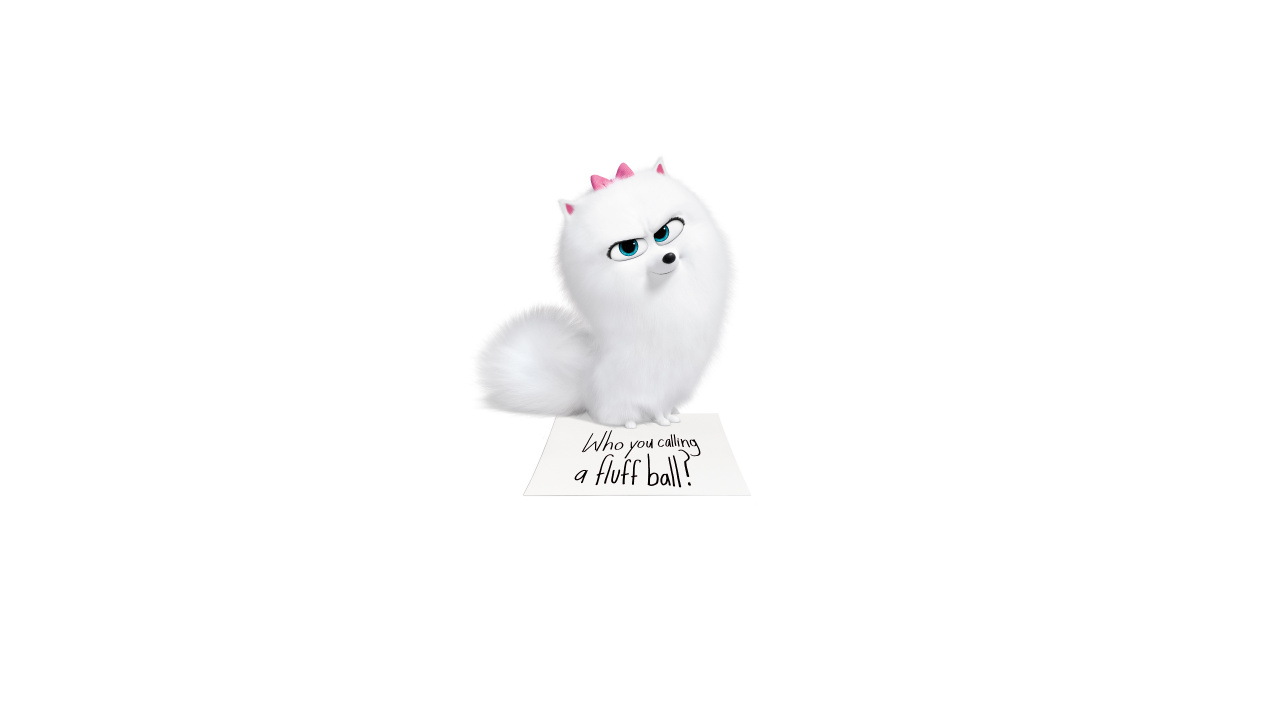 White Fur Cat With Black Background. Wallpaper in 1280x720 Resolution