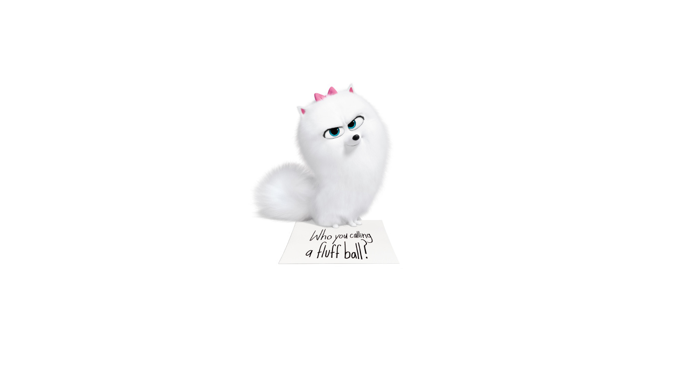 White Fur Cat With Black Background. Wallpaper in 1366x768 Resolution