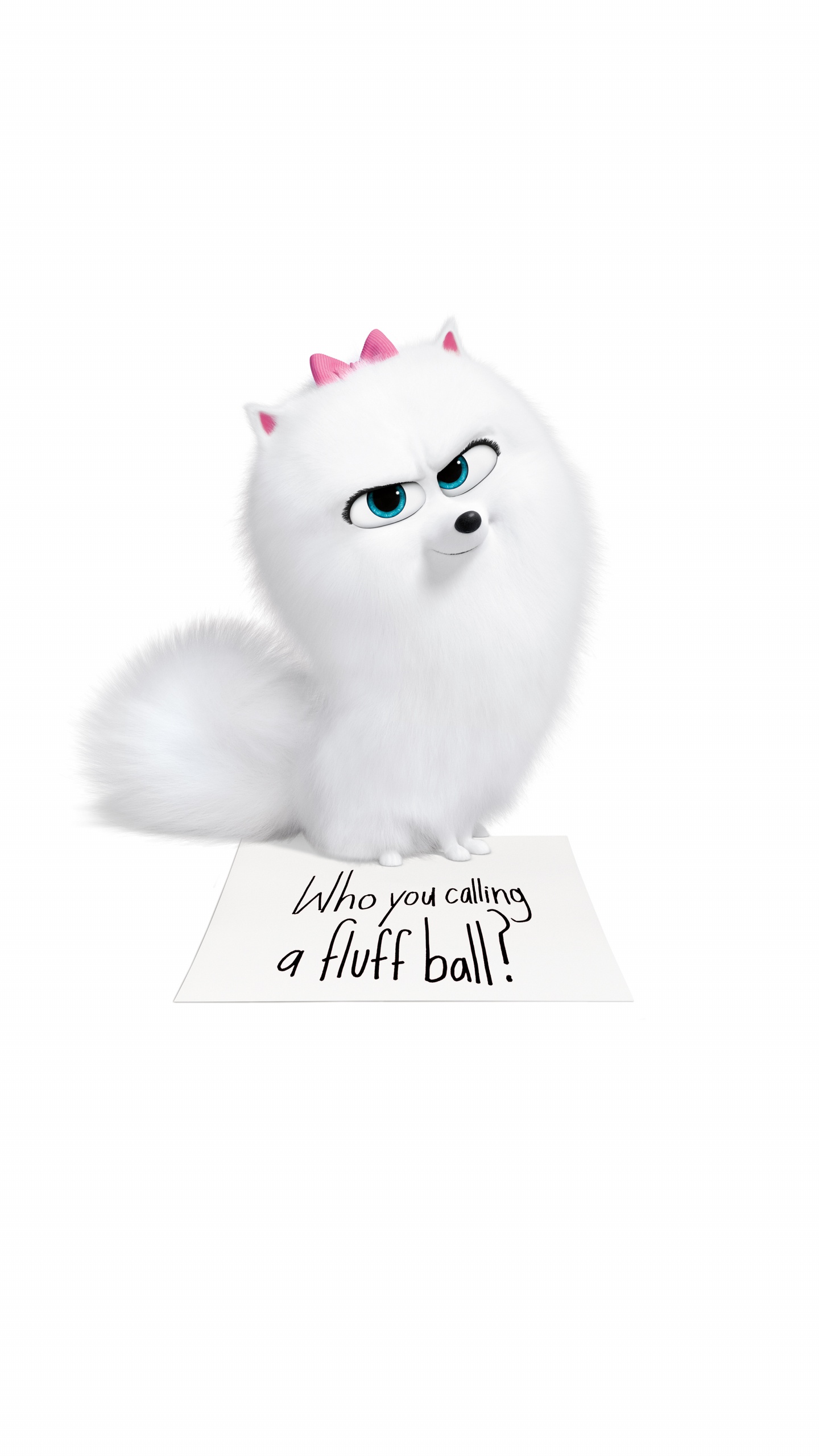 White Fur Cat With Black Background. Wallpaper in 1440x2560 Resolution