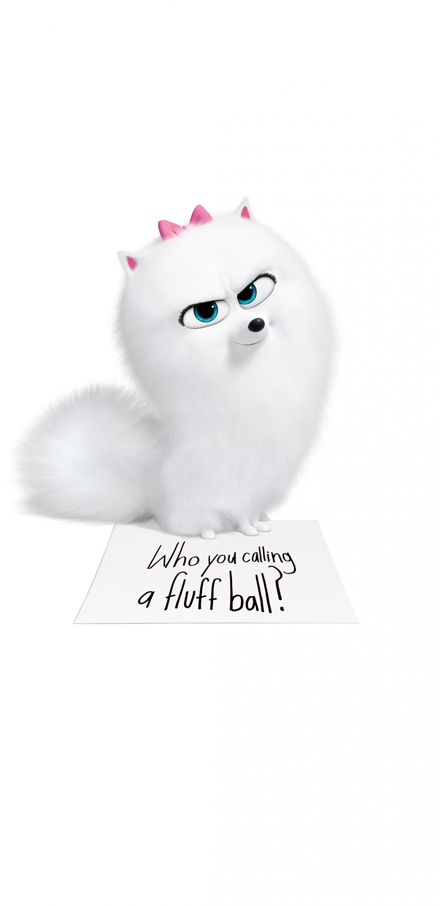 White Fur Cat With Black Background. Wallpaper in 1440x2960 Resolution