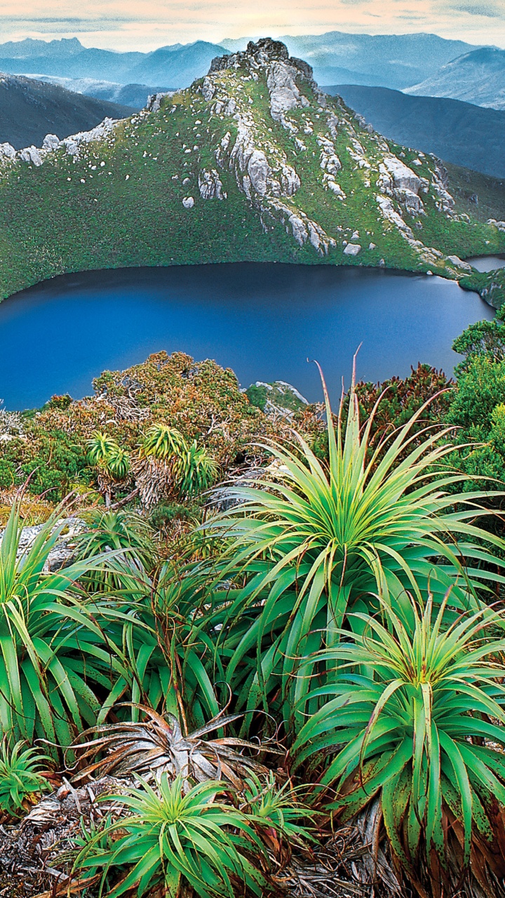 Green Palm Tree Near Blue Lake and Mountain During Daytime. Wallpaper in 720x1280 Resolution