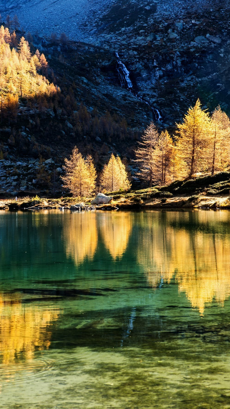 Tagsüber Grüne Bäume am See. Wallpaper in 750x1334 Resolution