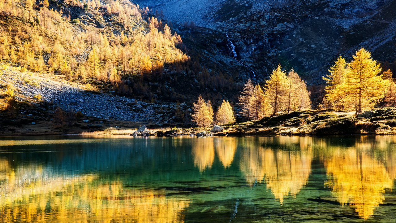 Green Trees Beside Lake During Daytime. Wallpaper in 1280x720 Resolution