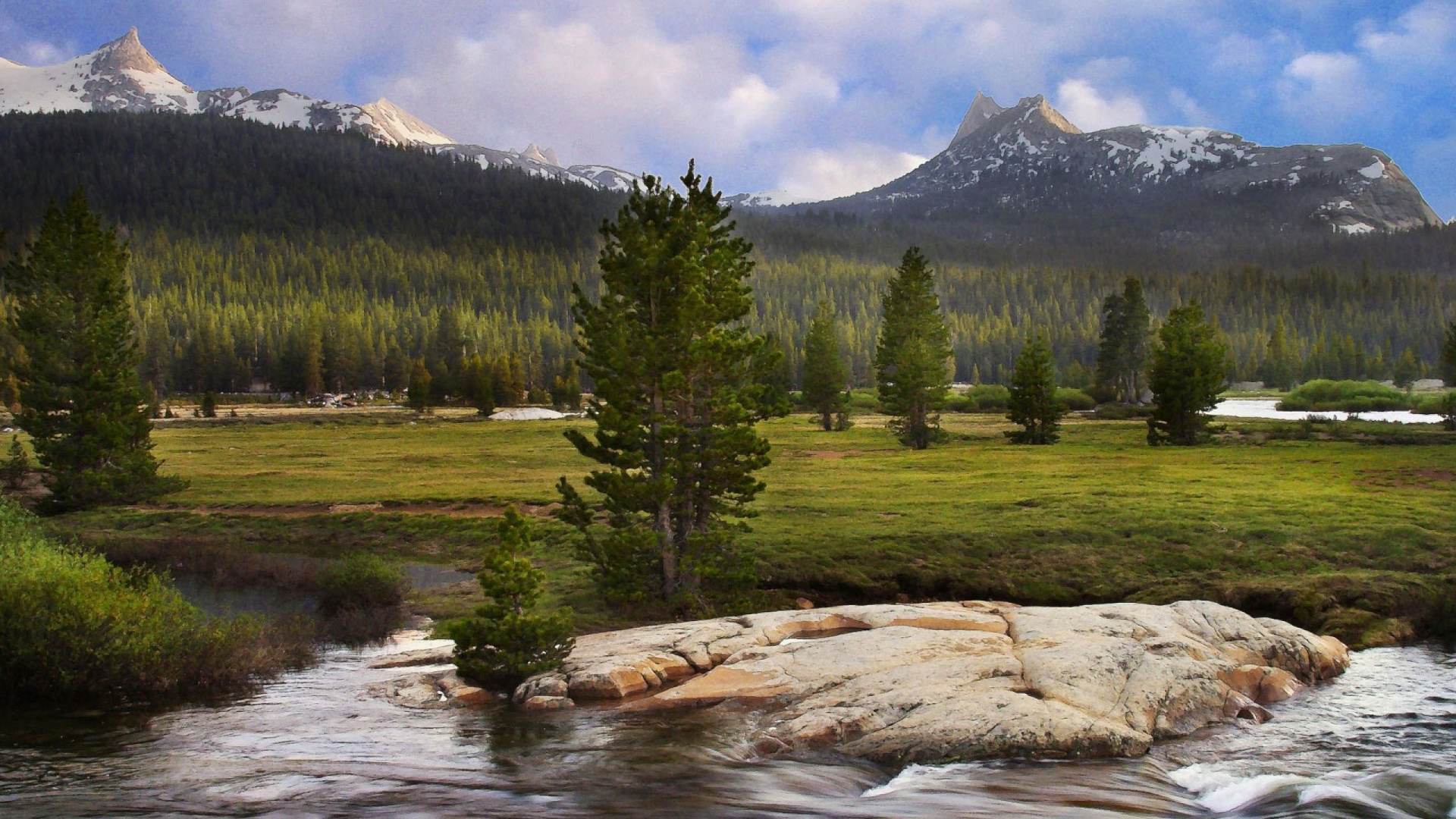 Green Pine Trees Near Lake and Mountain During Daytime. Wallpaper in 1920x1080 Resolution