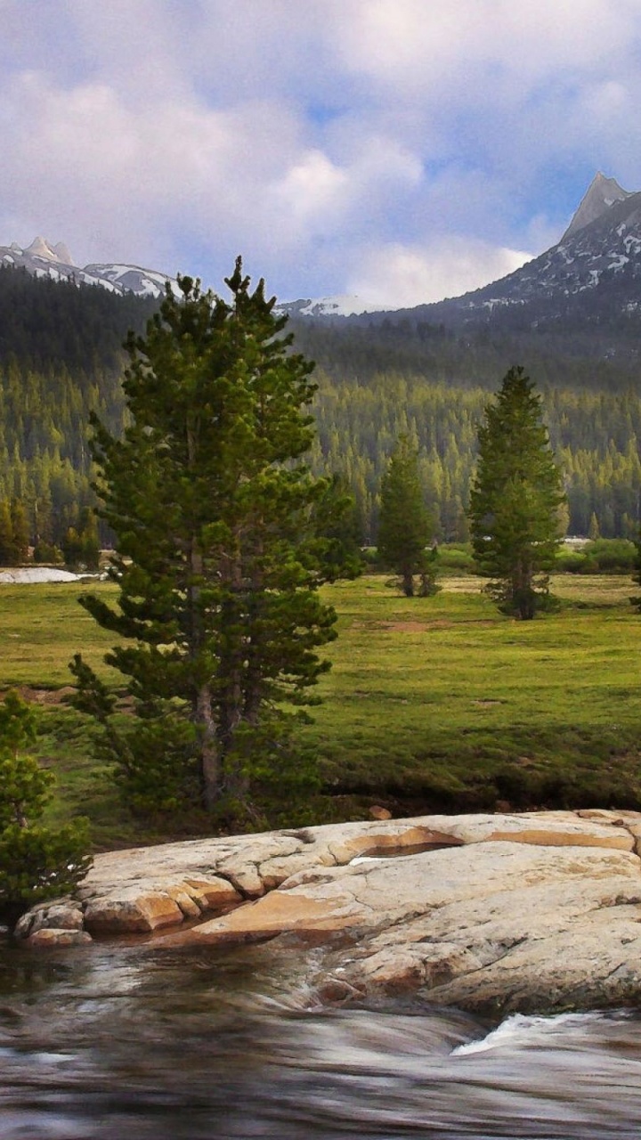 Green Pine Trees Near Lake and Mountain During Daytime. Wallpaper in 720x1280 Resolution