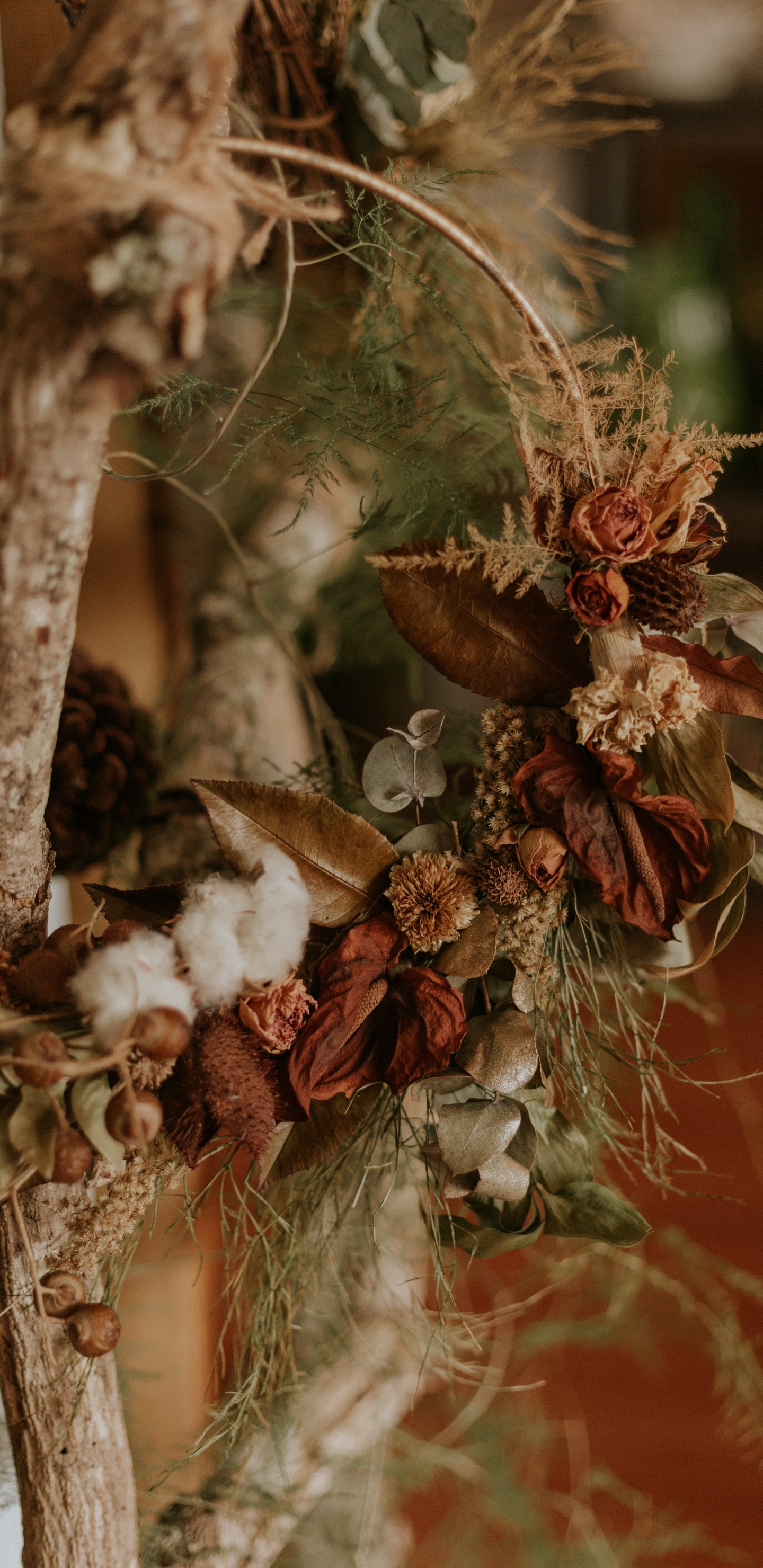 Flor Roja y Blanca en el Árbol Marrón. Wallpaper in 1440x2960 Resolution