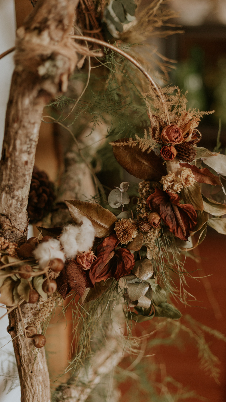 菌群, 松的家庭, 仍然生活, 树枝, 花圈 壁纸 750x1334 允许